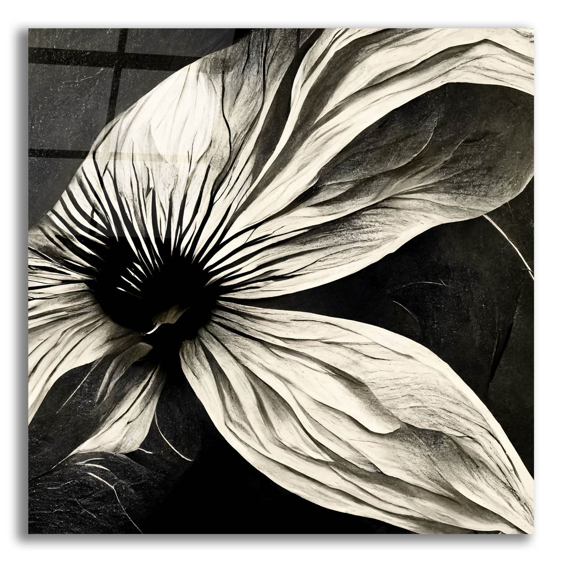 Epic Art 'Flowers Black White 22' by Ray Heere, Acrylic Glass Wall Art,12x12