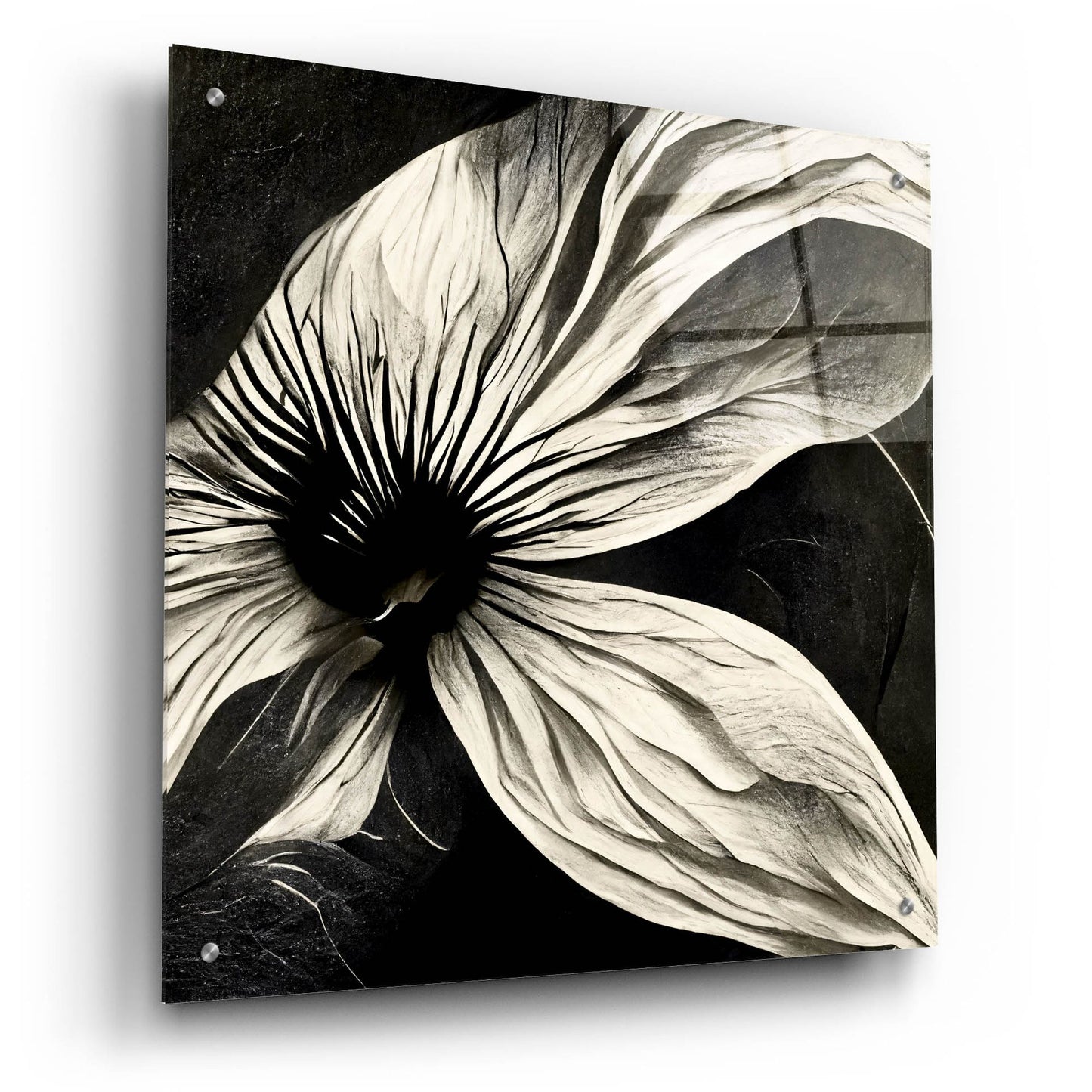 Epic Art 'Flowers Black White 22' by Ray Heere, Acrylic Glass Wall Art,24x24