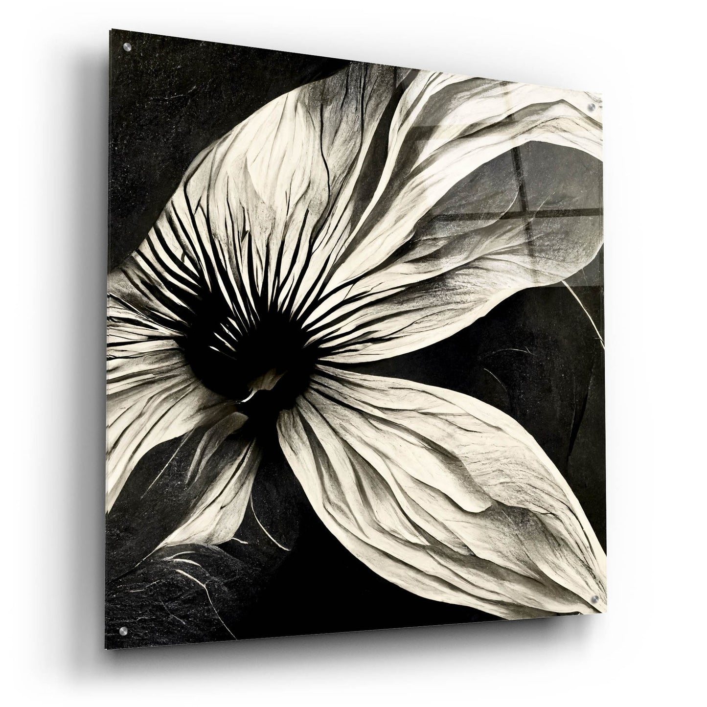 Epic Art 'Flowers Black White 22' by Ray Heere, Acrylic Glass Wall Art,36x36