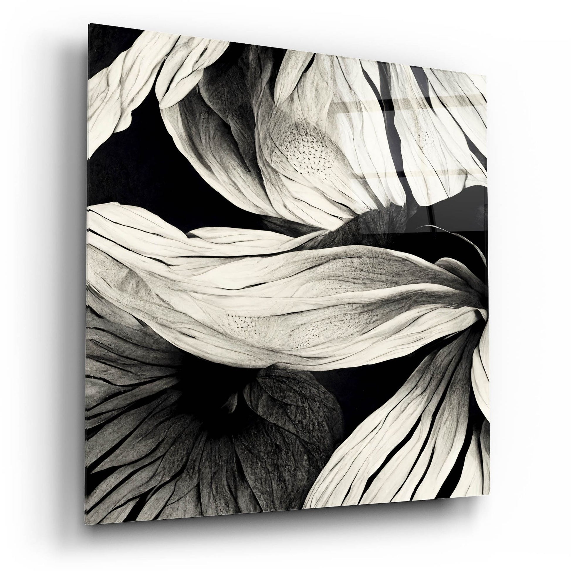 Epic Art 'Flowers Black White 23' by Ray Heere, Acrylic Glass Wall Art,12x12