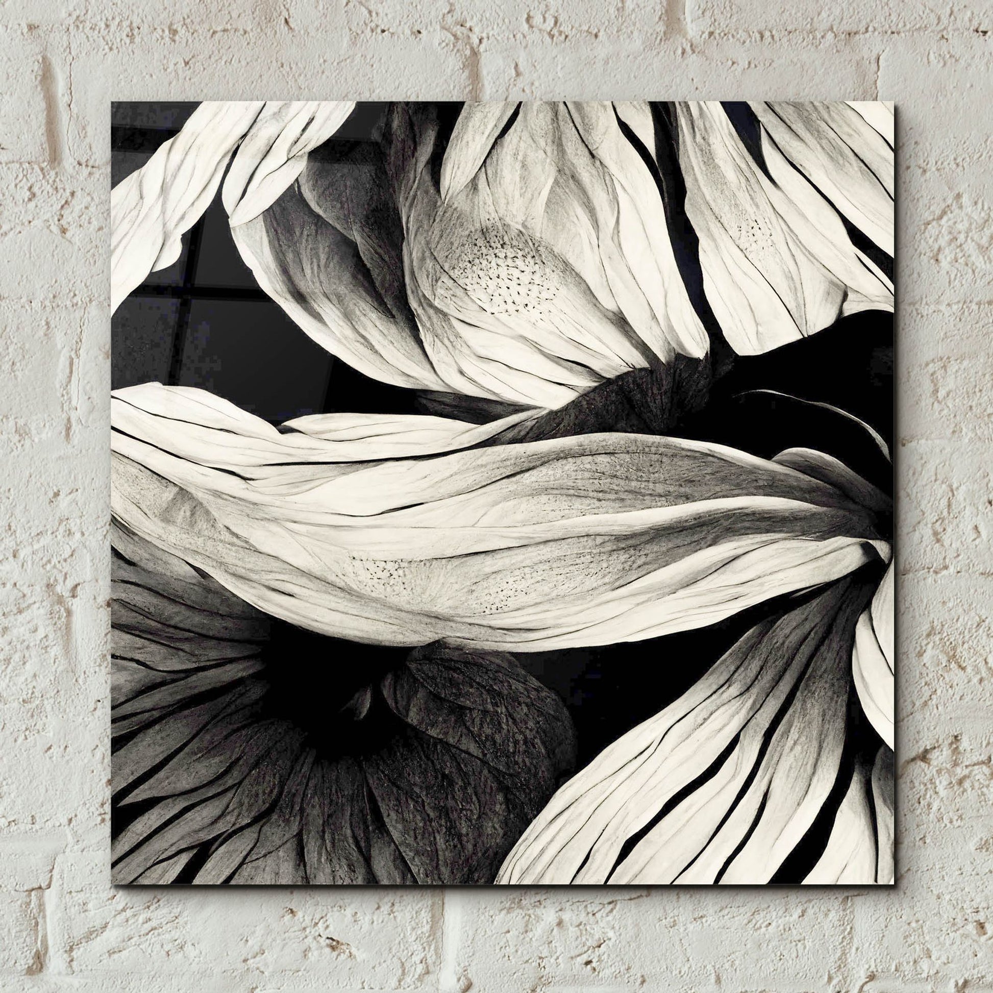 Epic Art 'Flowers Black White 23' by Ray Heere, Acrylic Glass Wall Art,12x12