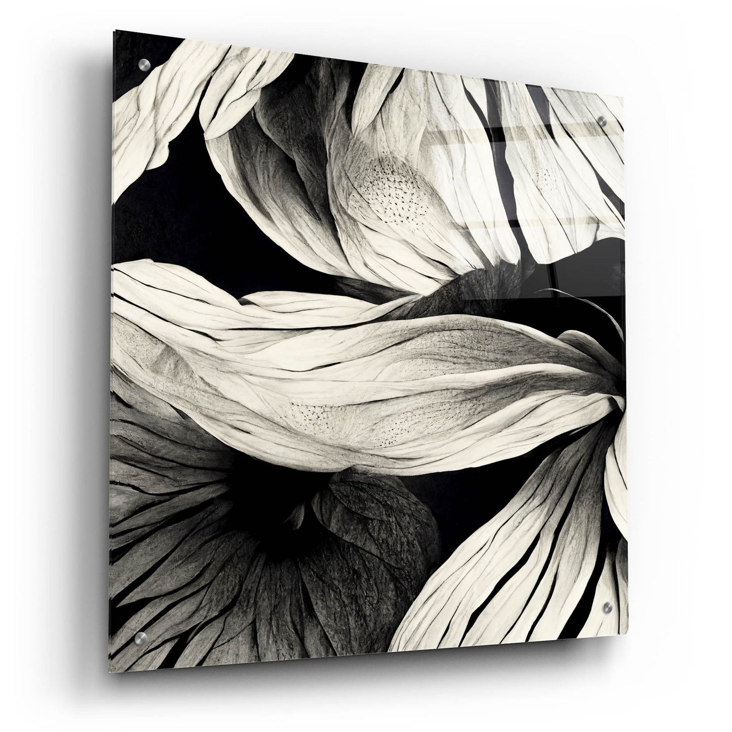 Epic Art 'Flowers Black White 23' by Ray Heere, Acrylic Glass Wall Art,24x24