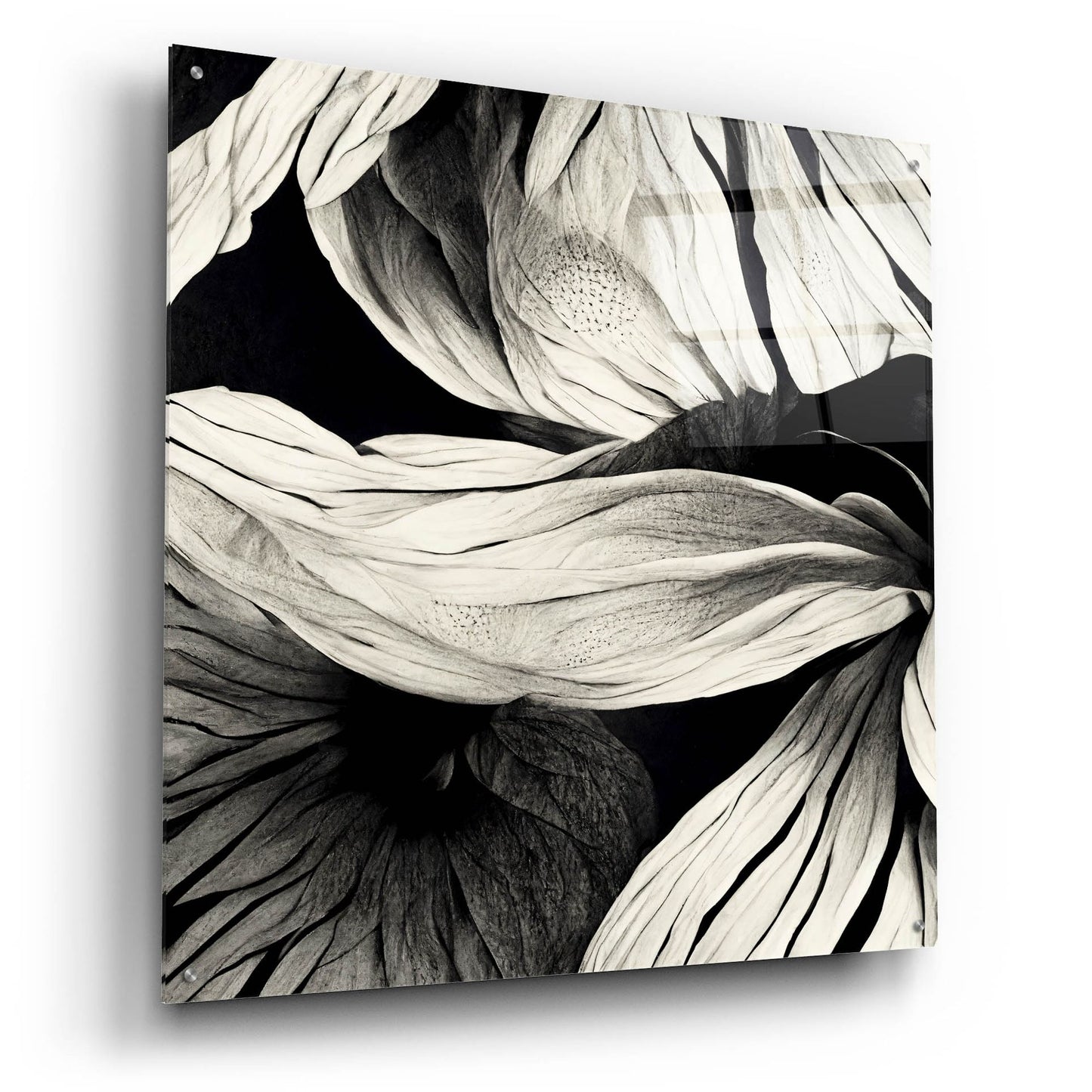 Epic Art 'Flowers Black White 23' by Ray Heere, Acrylic Glass Wall Art,36x36