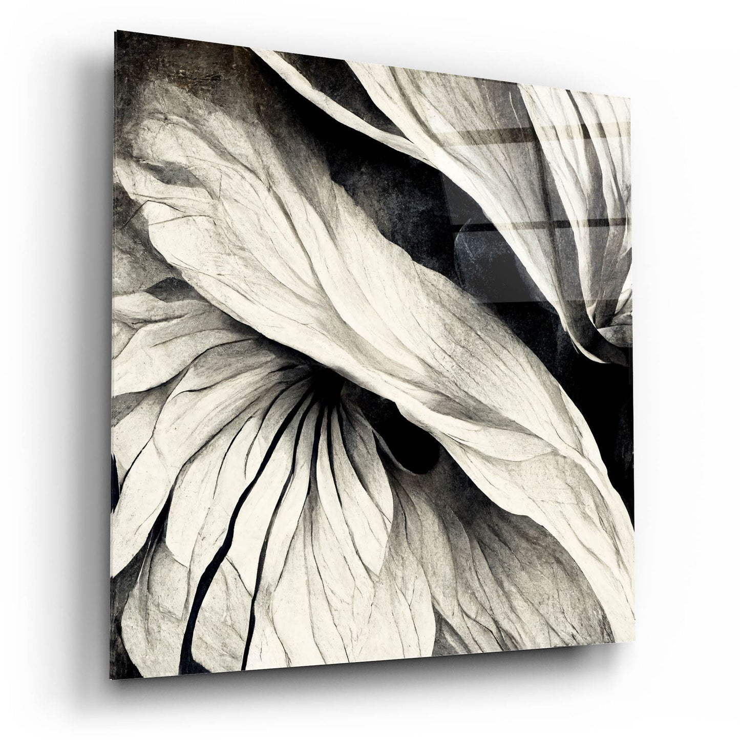 Epic Art 'Flowers Black White 24' by Ray Heere, Acrylic Glass Wall Art,12x12