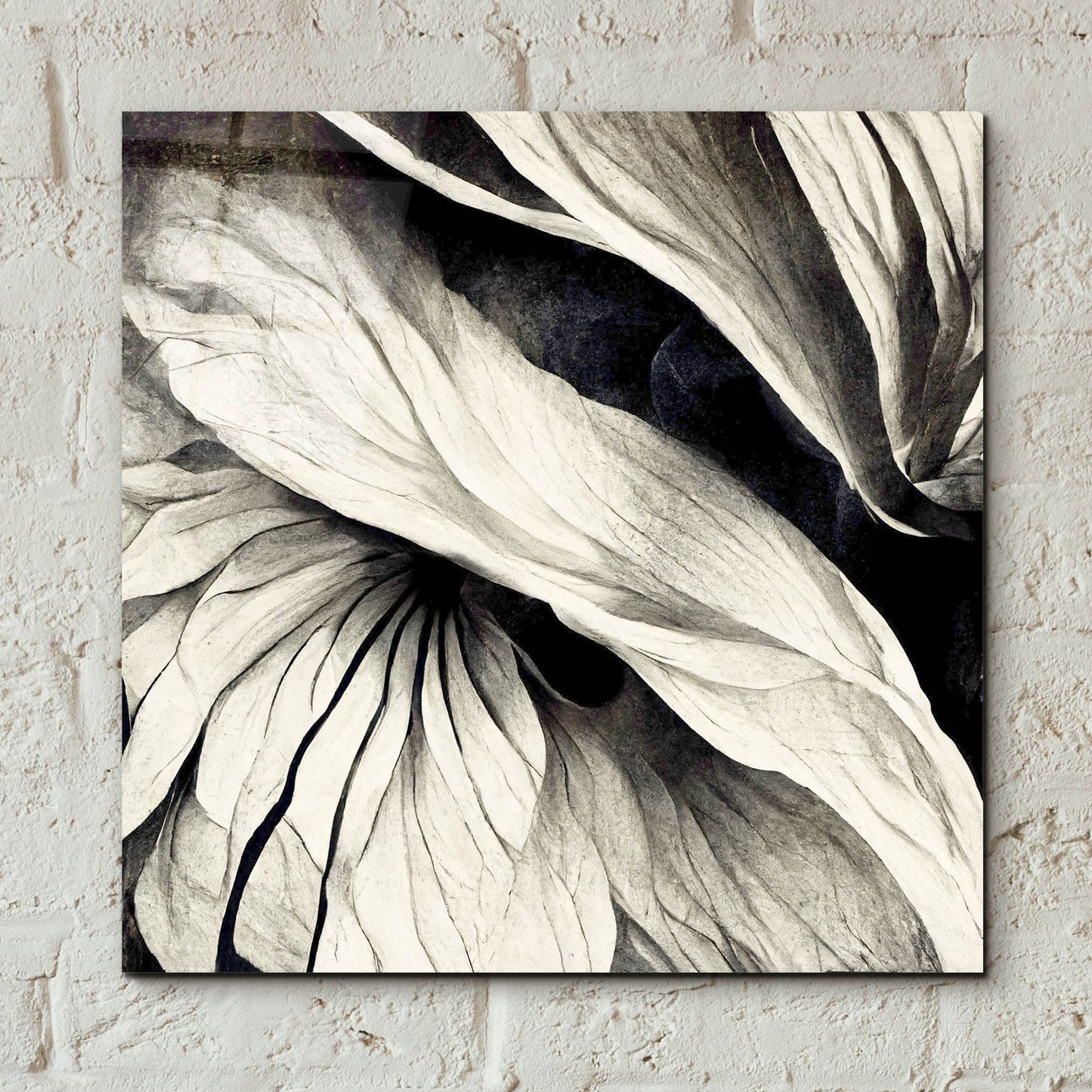 Epic Art 'Flowers Black White 24' by Ray Heere, Acrylic Glass Wall Art,12x12