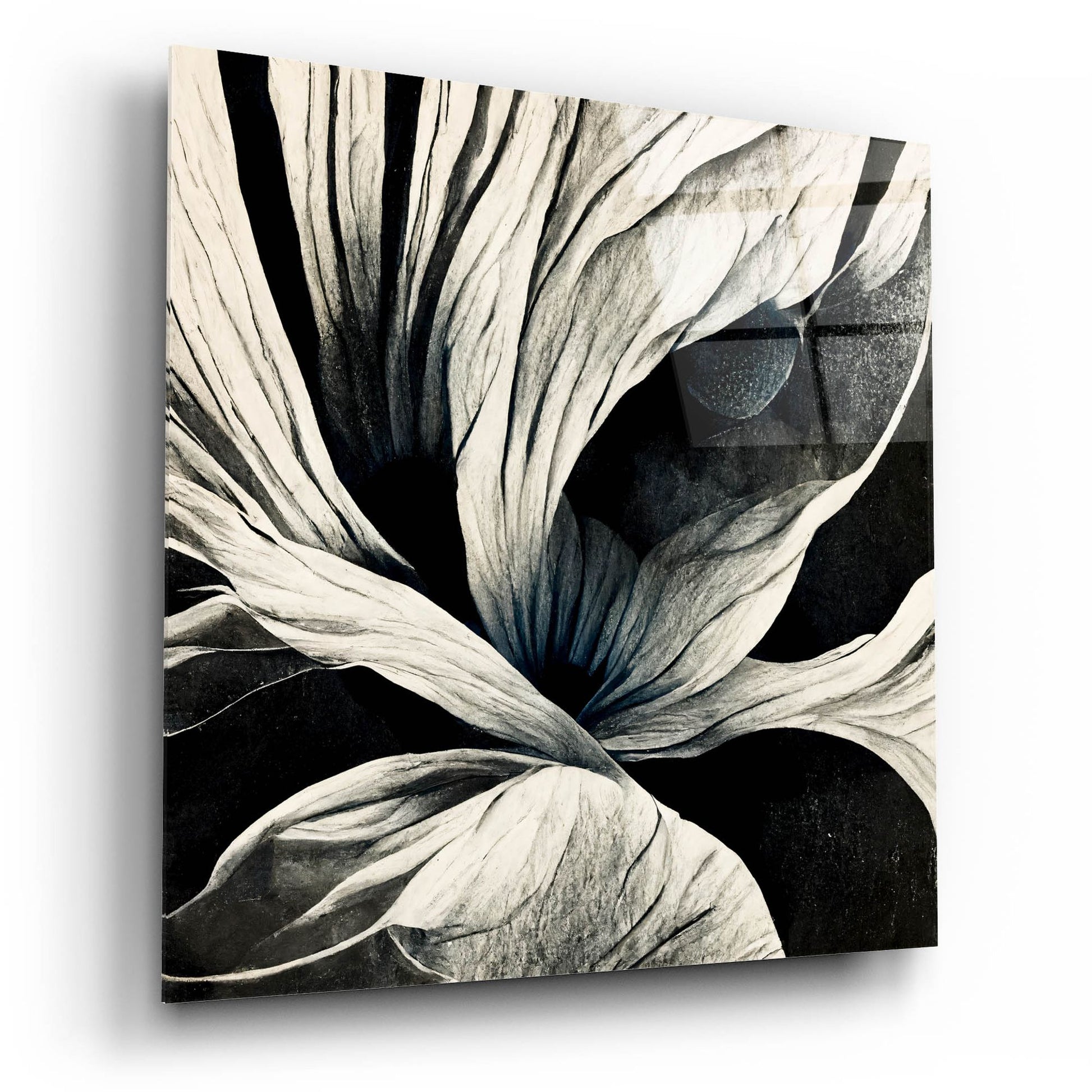 Epic Art 'Flowers Black White 25' by Ray Heere, Acrylic Glass Wall Art,12x12