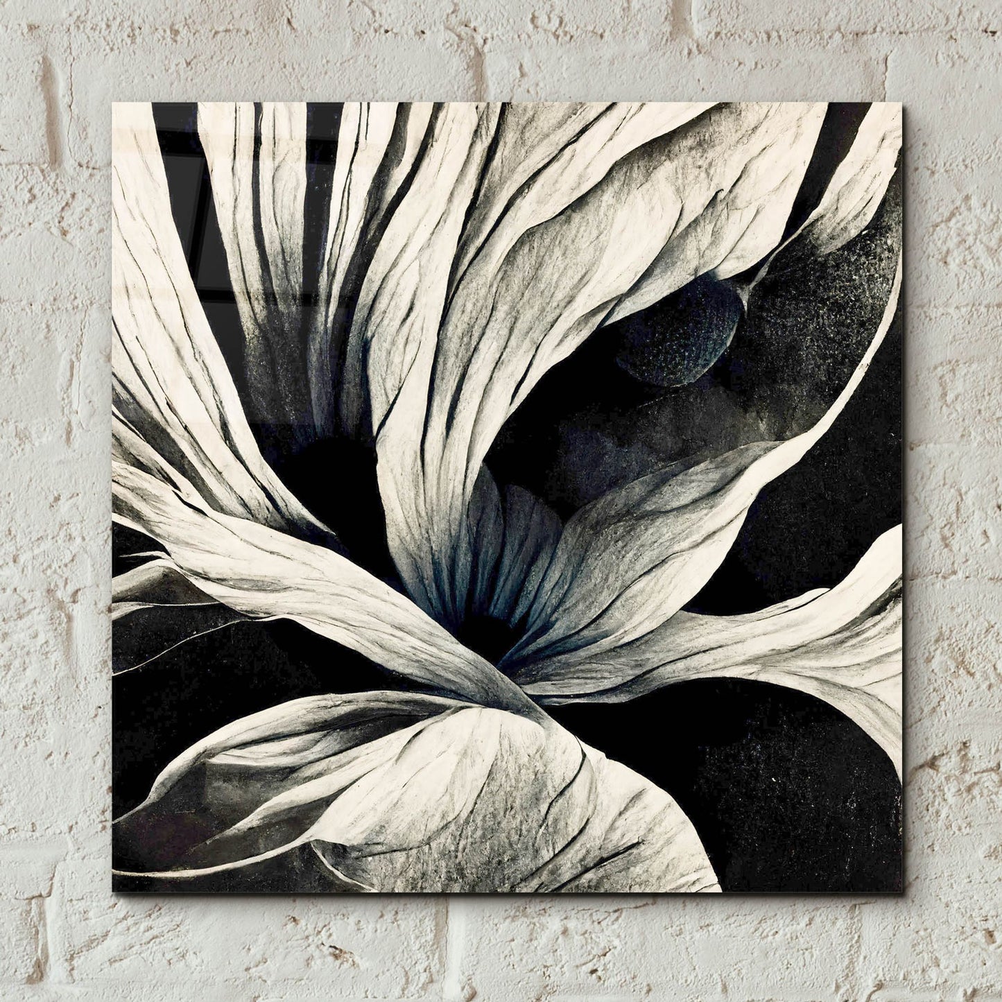 Epic Art 'Flowers Black White 25' by Ray Heere, Acrylic Glass Wall Art,12x12