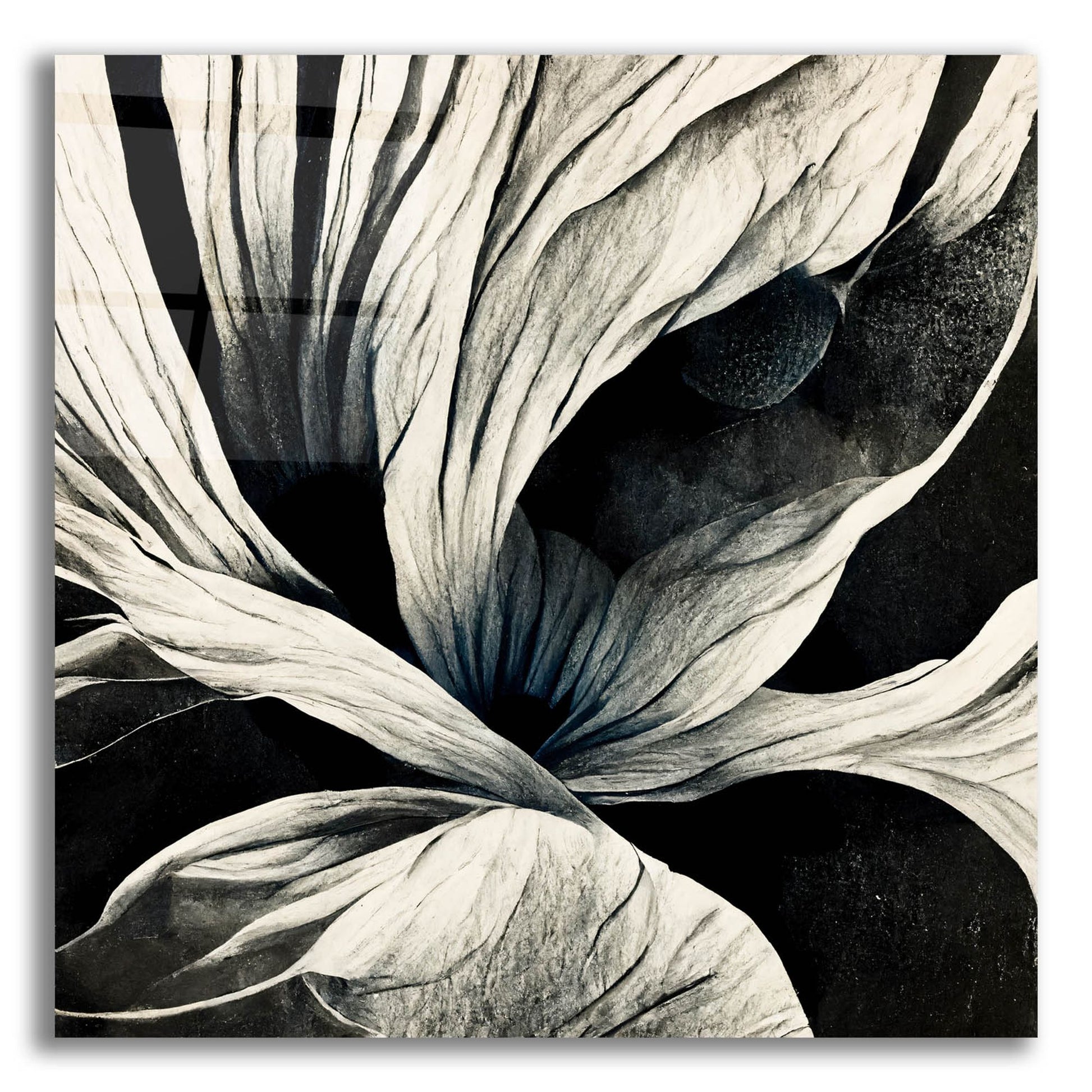 Epic Art 'Flowers Black White 25' by Ray Heere, Acrylic Glass Wall Art,12x12