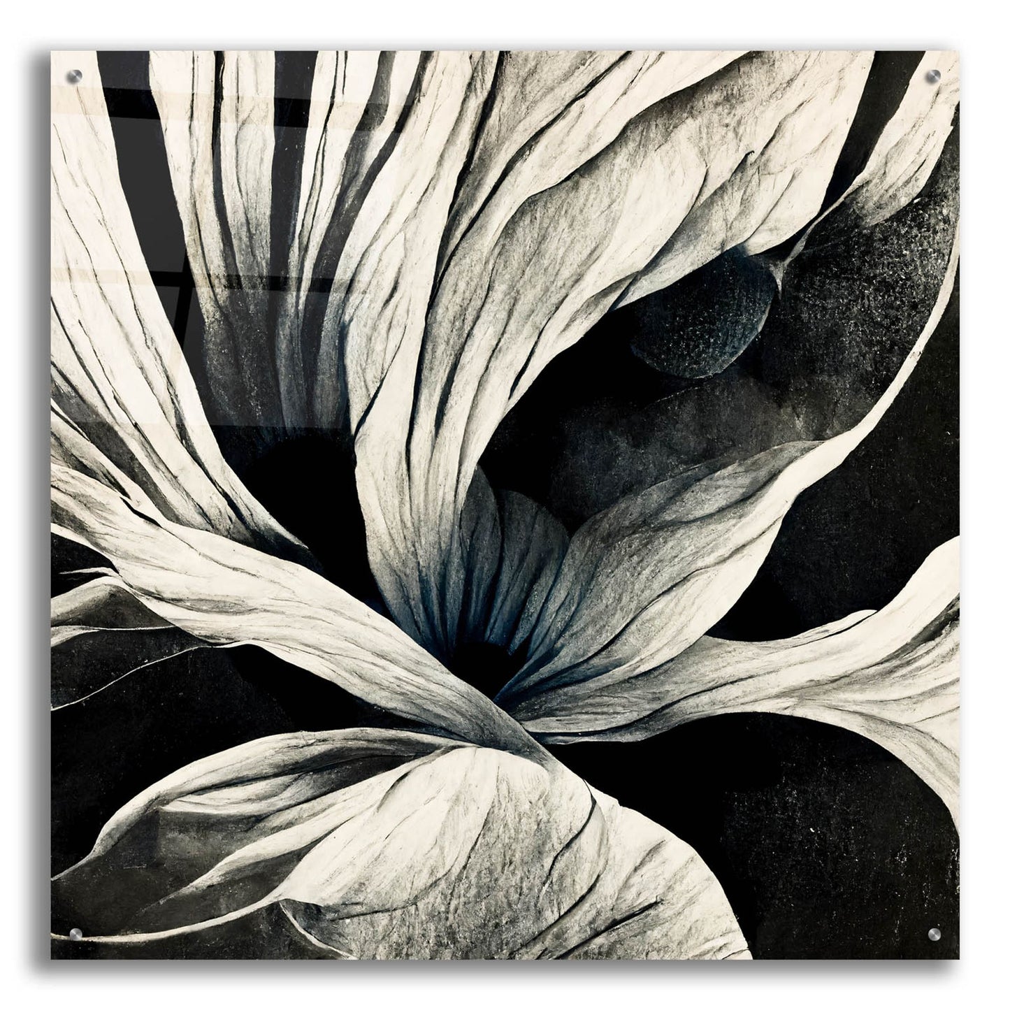 Epic Art 'Flowers Black White 25' by Ray Heere, Acrylic Glass Wall Art,36x36