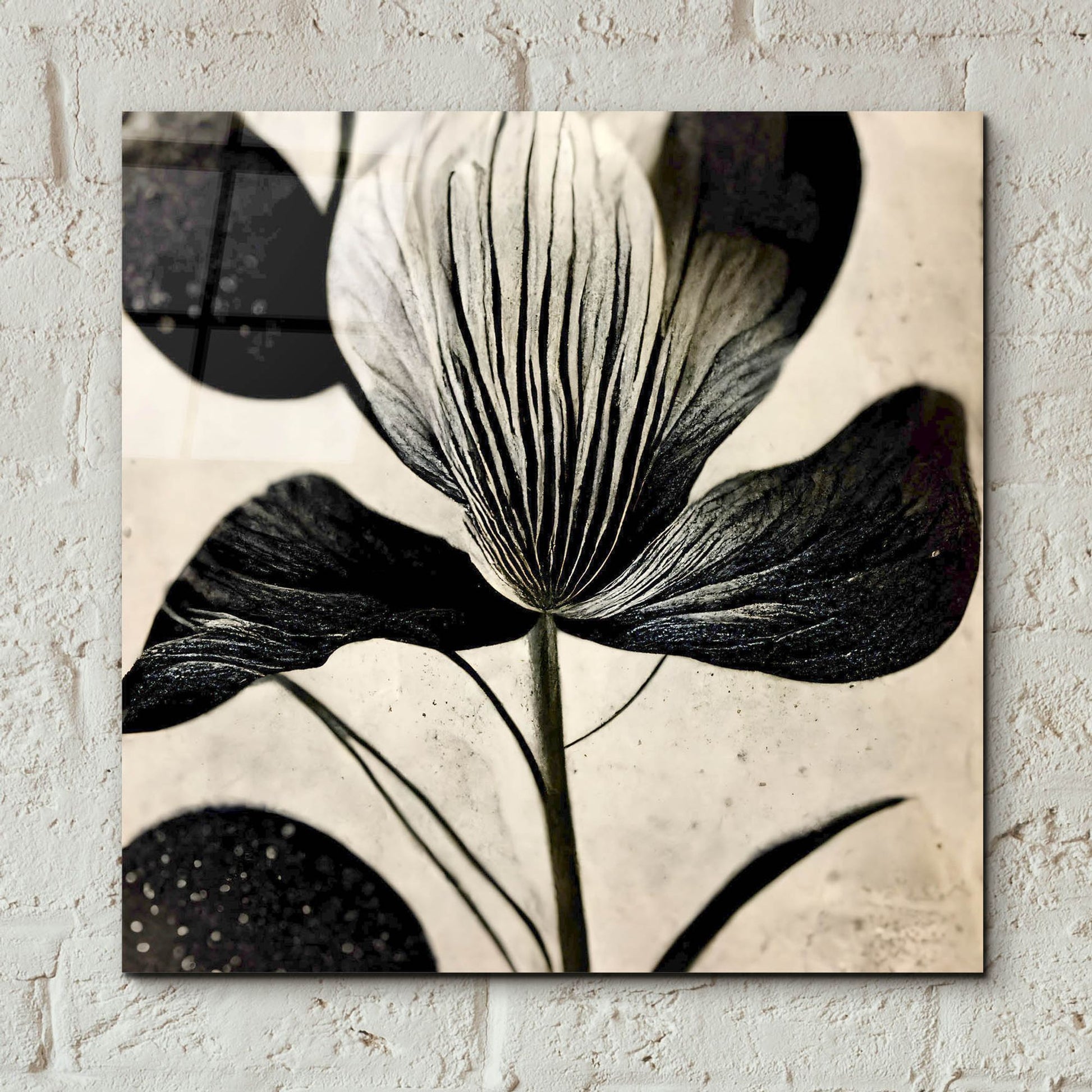 Epic Art 'Flowers Black White 26' by Ray Heere, Acrylic Glass Wall Art,12x12