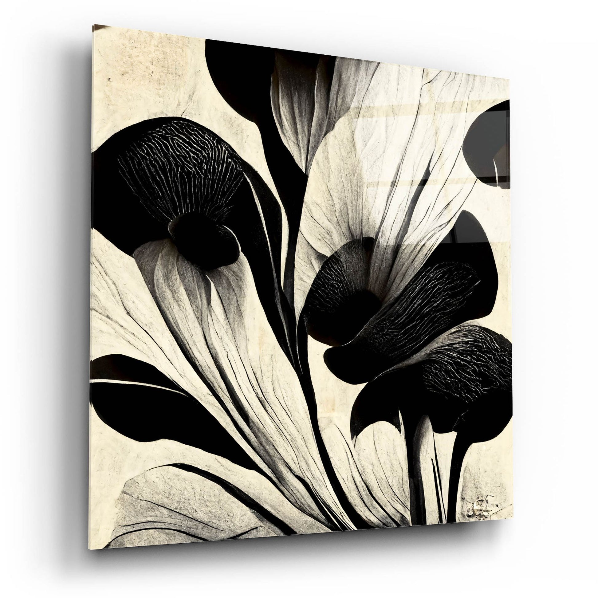 Epic Art 'Flowers Black White 27' by Ray Heere, Acrylic Glass Wall Art,12x12