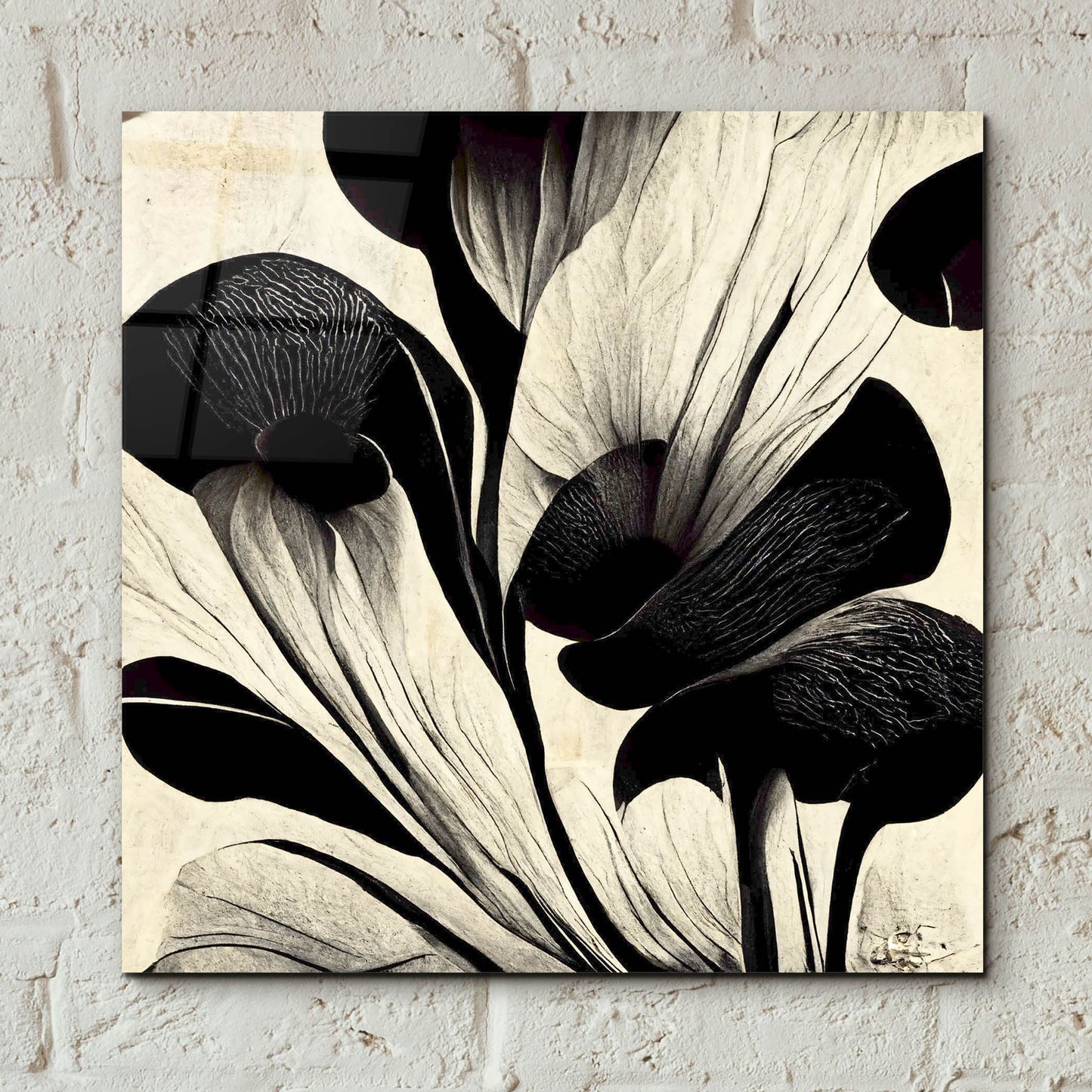 Epic Art 'Flowers Black White 27' by Ray Heere, Acrylic Glass Wall Art,12x12