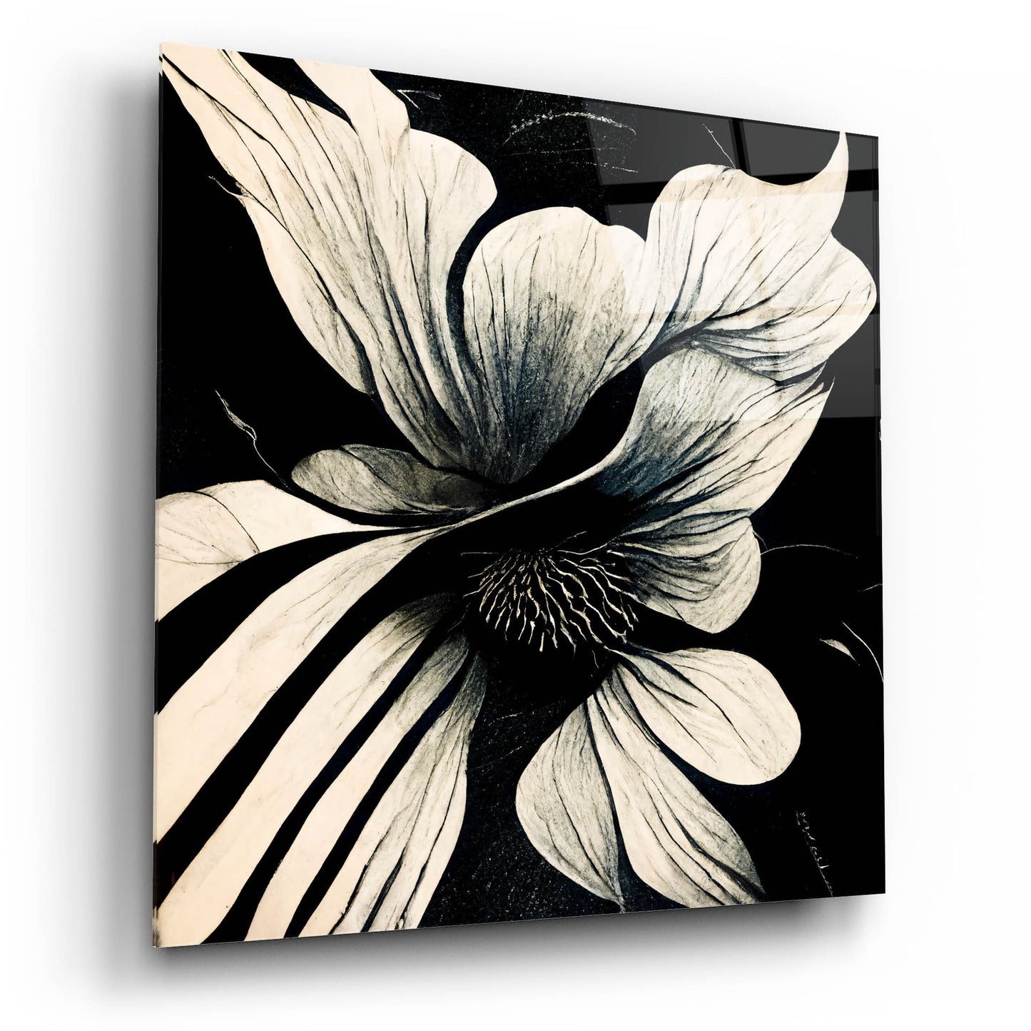 Epic Art 'Flowers Black White 28' by Ray Heere, Acrylic Glass Wall Art,12x12