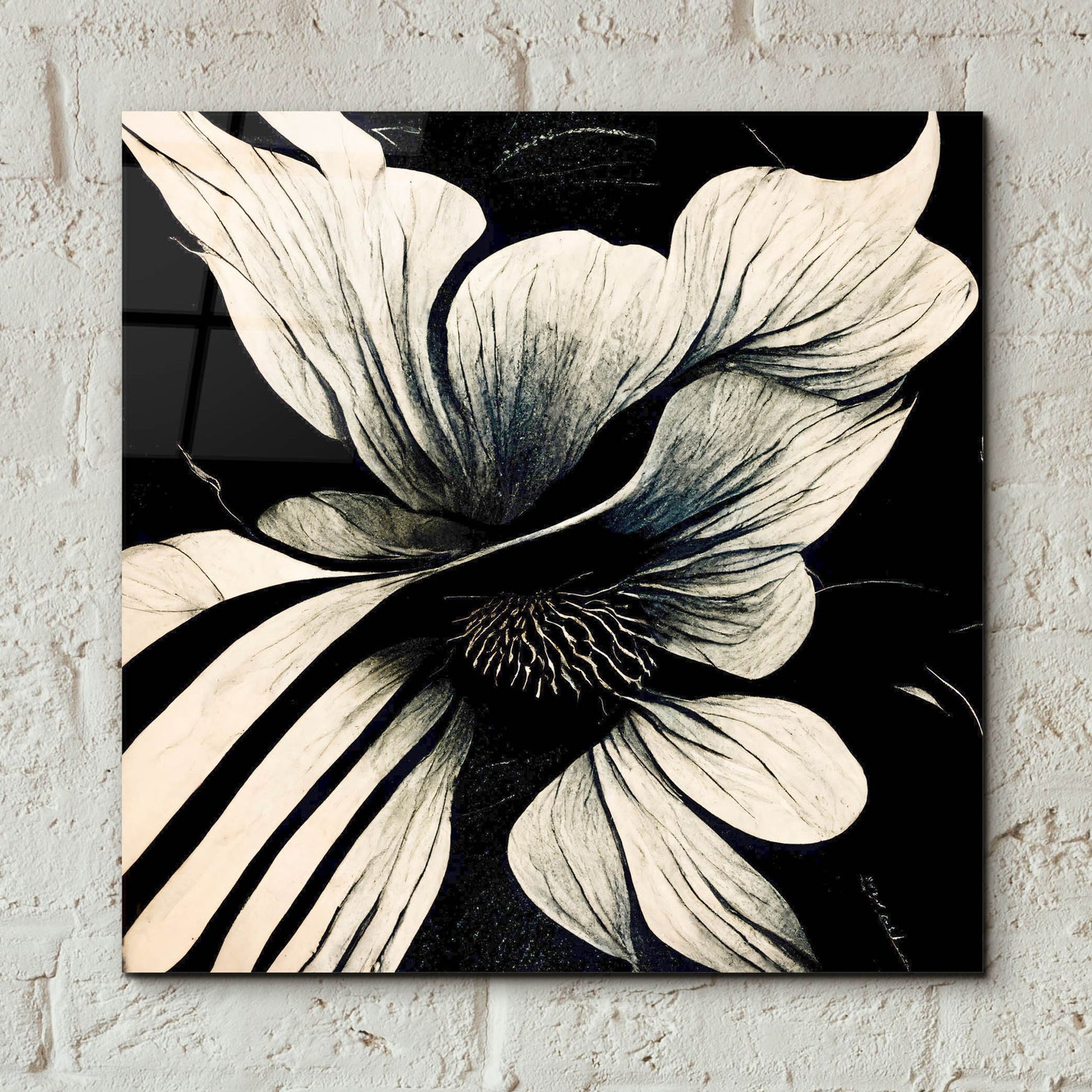 Epic Art 'Flowers Black White 28' by Ray Heere, Acrylic Glass Wall Art,12x12