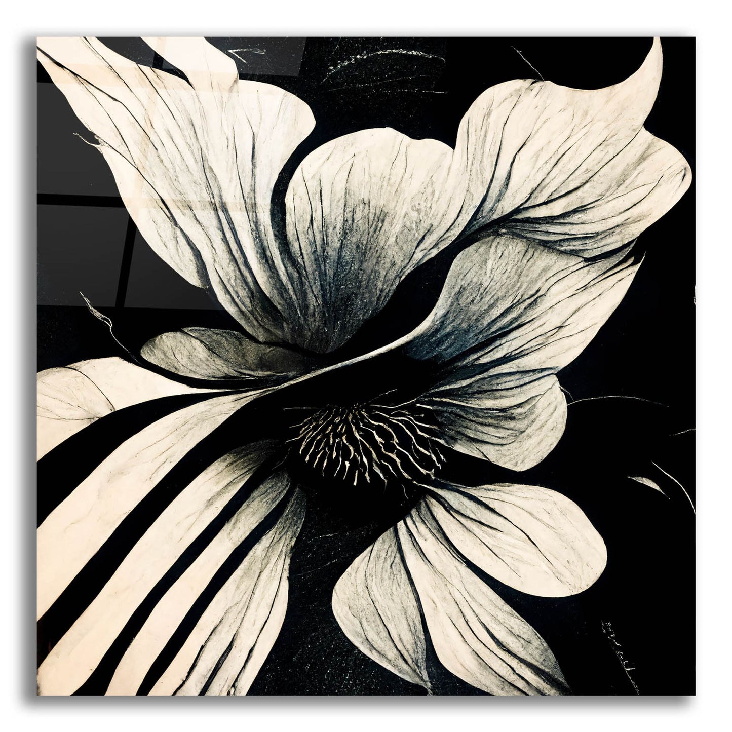 Epic Art 'Flowers Black White 28' by Ray Heere, Acrylic Glass Wall Art,12x12