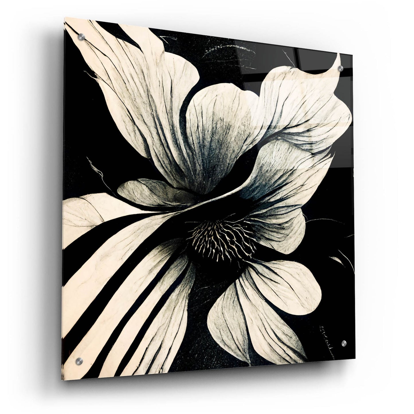 Epic Art 'Flowers Black White 28' by Ray Heere, Acrylic Glass Wall Art,24x24