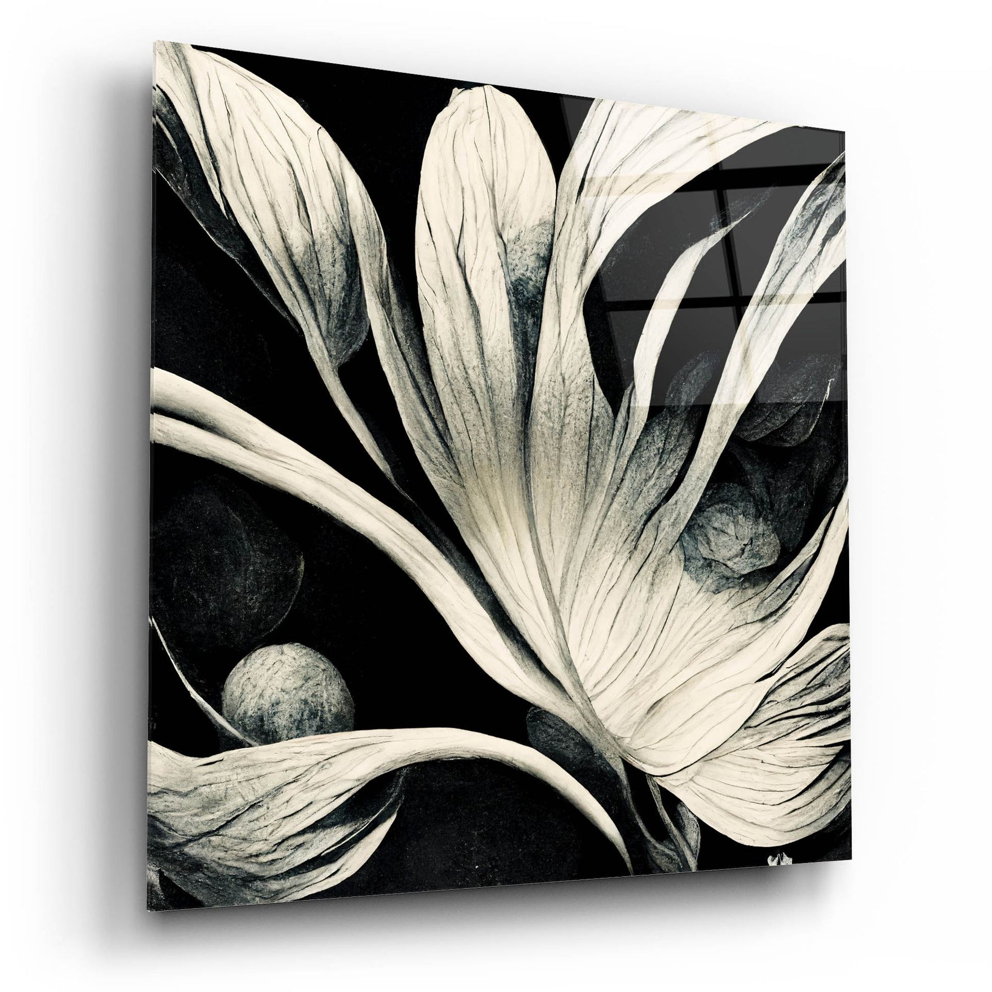 Epic Art 'Flowers Black White 29' by Ray Heere, Acrylic Glass Wall Art,12x12