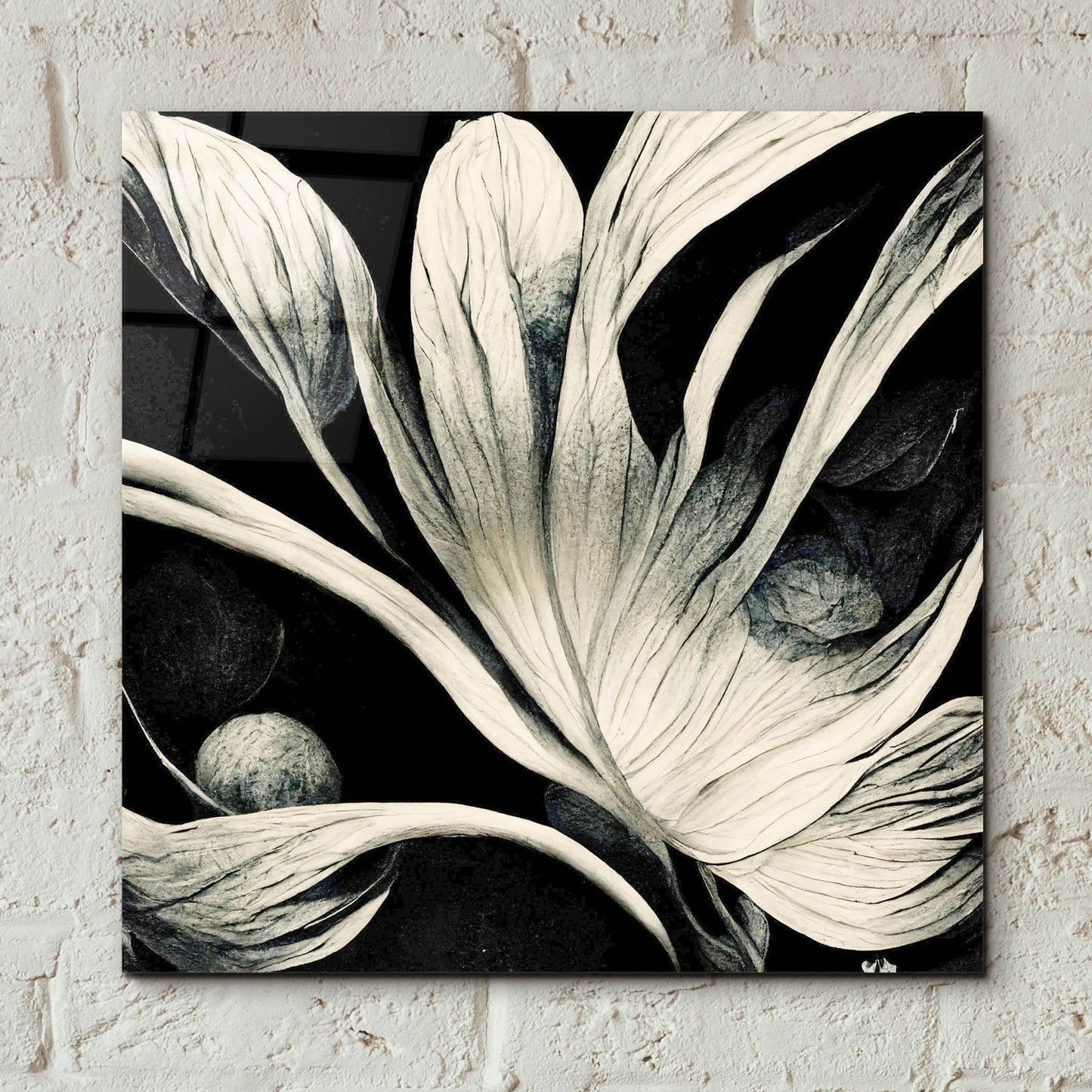 Epic Art 'Flowers Black White 29' by Ray Heere, Acrylic Glass Wall Art,12x12