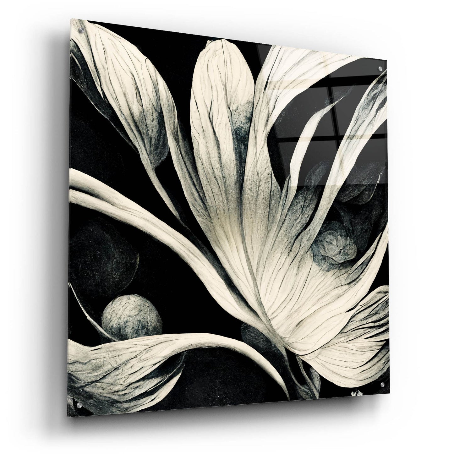 Epic Art 'Flowers Black White 29' by Ray Heere, Acrylic Glass Wall Art,36x36