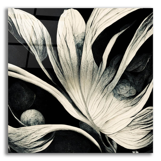 Epic Art 'Flowers Black White 29' by Ray Heere, Acrylic Glass Wall Art