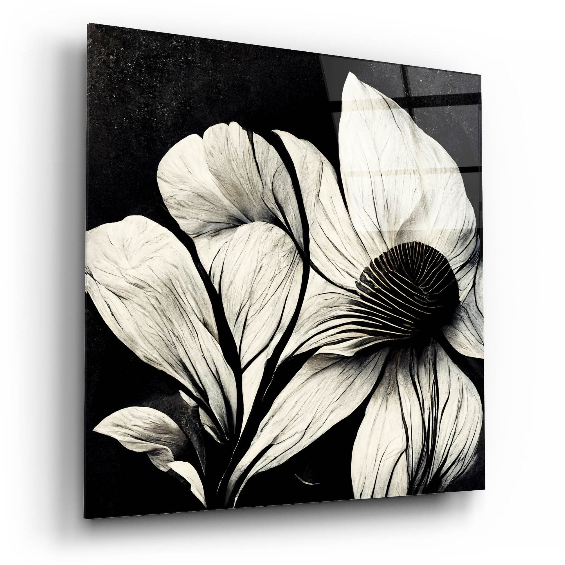 Epic Art 'Flowers Black White 30' by Ray Heere, Acrylic Glass Wall Art,12x12