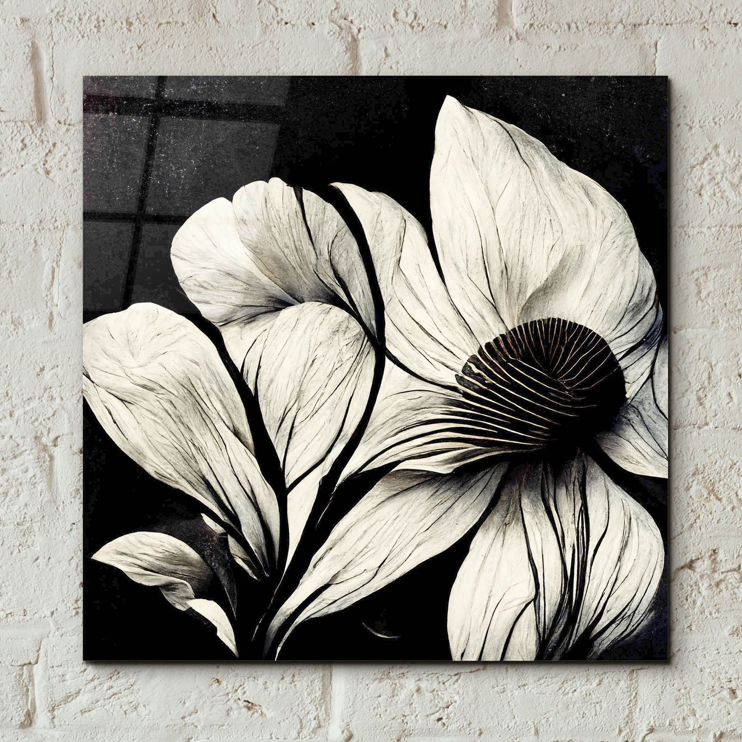 Epic Art 'Flowers Black White 30' by Ray Heere, Acrylic Glass Wall Art,12x12