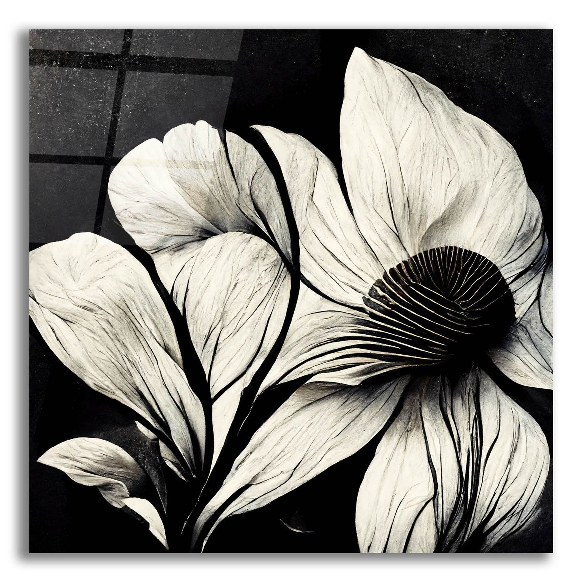 Epic Art 'Flowers Black White 30' by Ray Heere, Acrylic Glass Wall Art,12x12