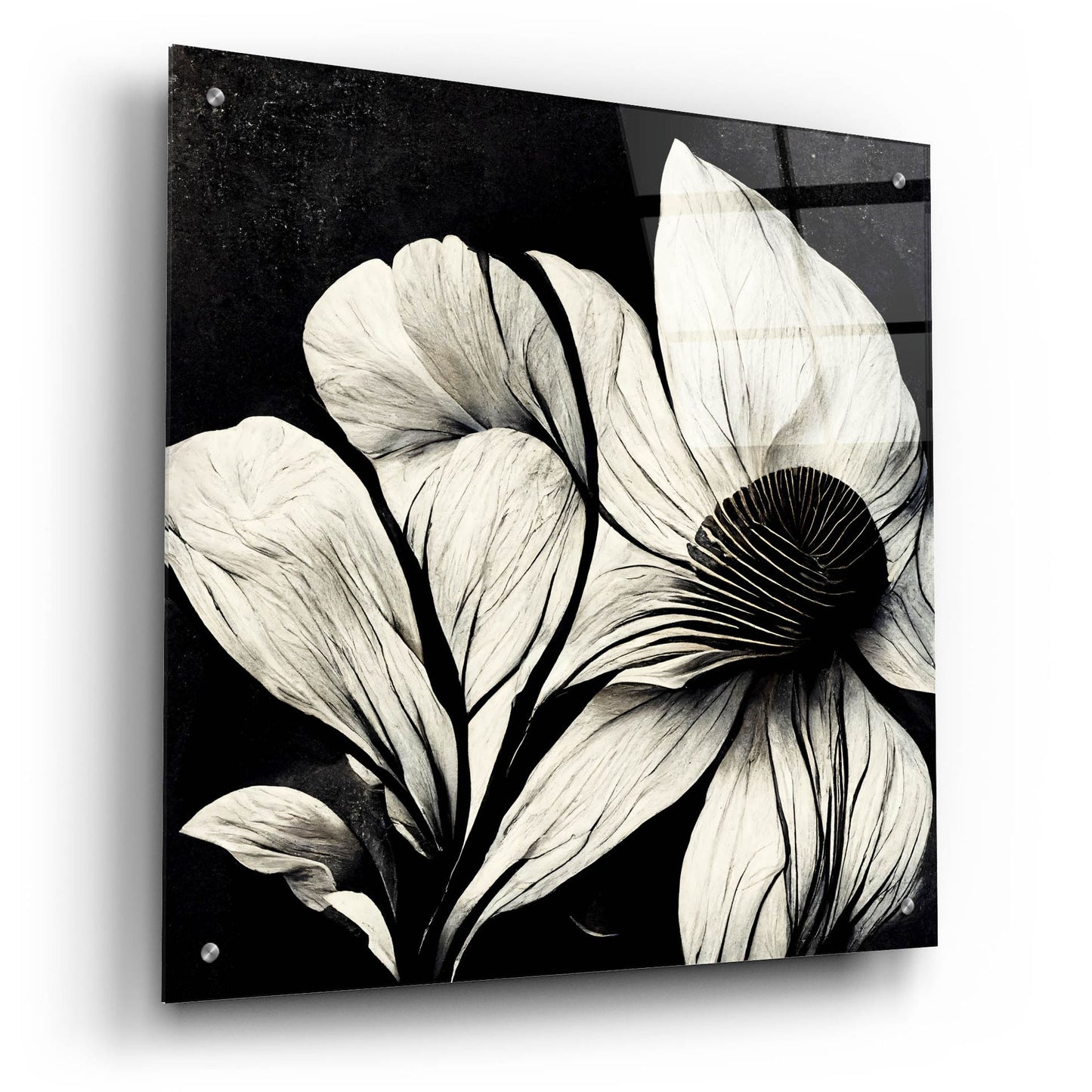 Epic Art 'Flowers Black White 30' by Ray Heere, Acrylic Glass Wall Art,24x24