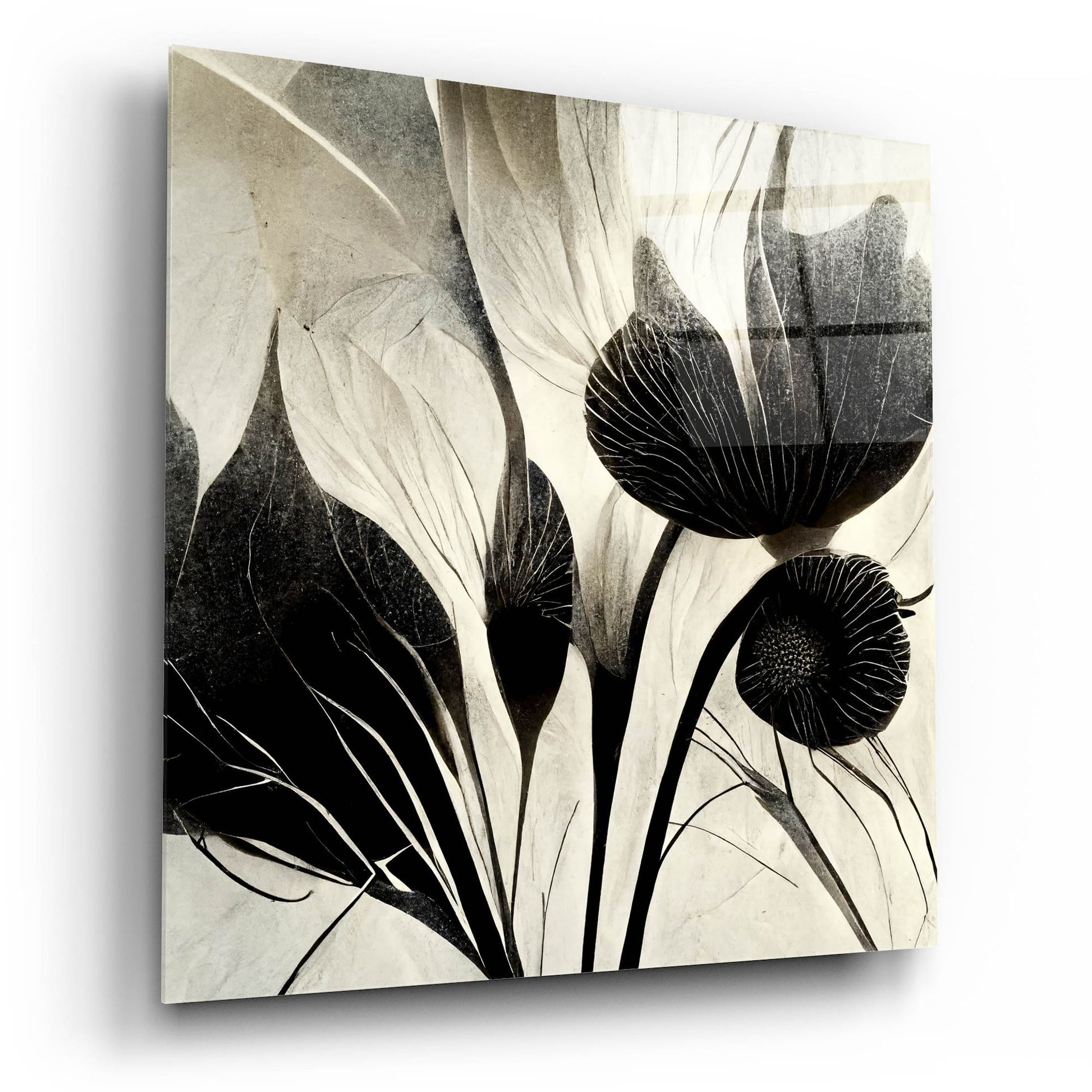 Epic Art 'Flowers Black White 31' by Ray Heere, Acrylic Glass Wall Art,12x12