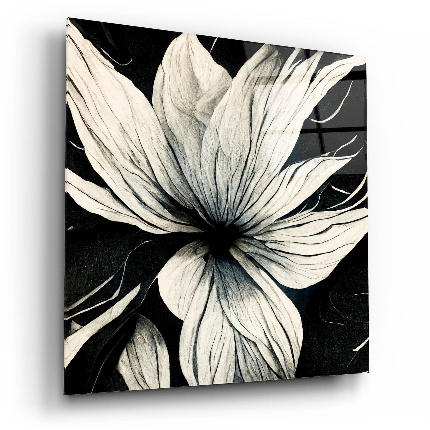 Epic Art 'Flowers Black White 32' by Ray Heere, Acrylic Glass Wall Art,12x12