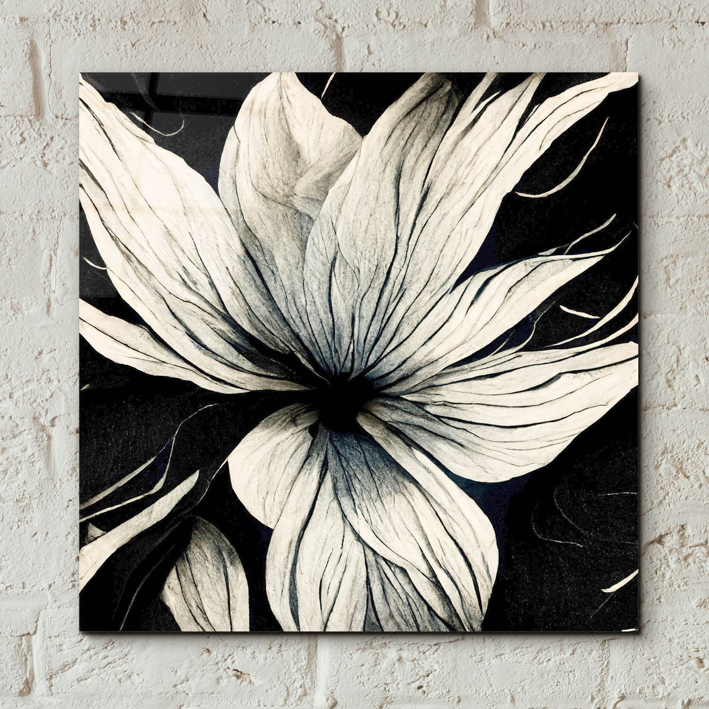 Epic Art 'Flowers Black White 32' by Ray Heere, Acrylic Glass Wall Art,12x12