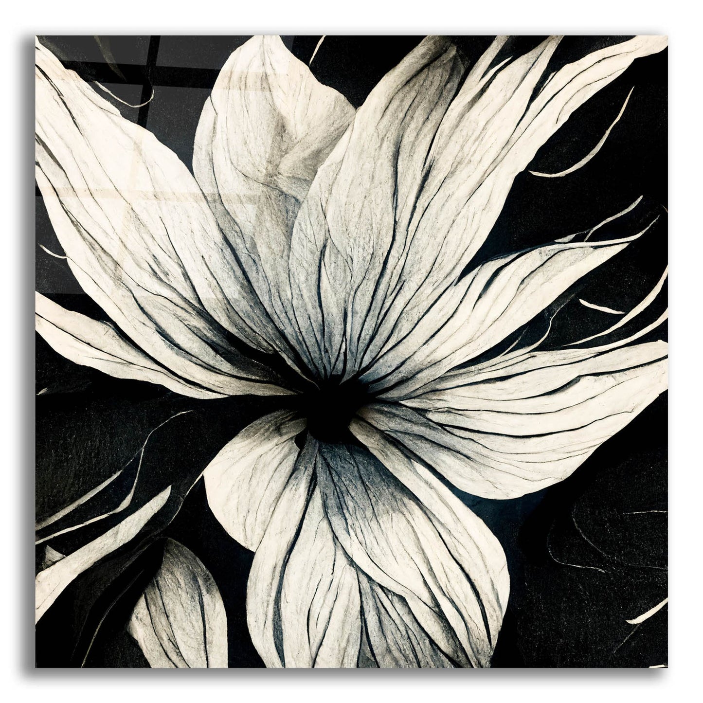 Epic Art 'Flowers Black White 32' by Ray Heere, Acrylic Glass Wall Art,12x12