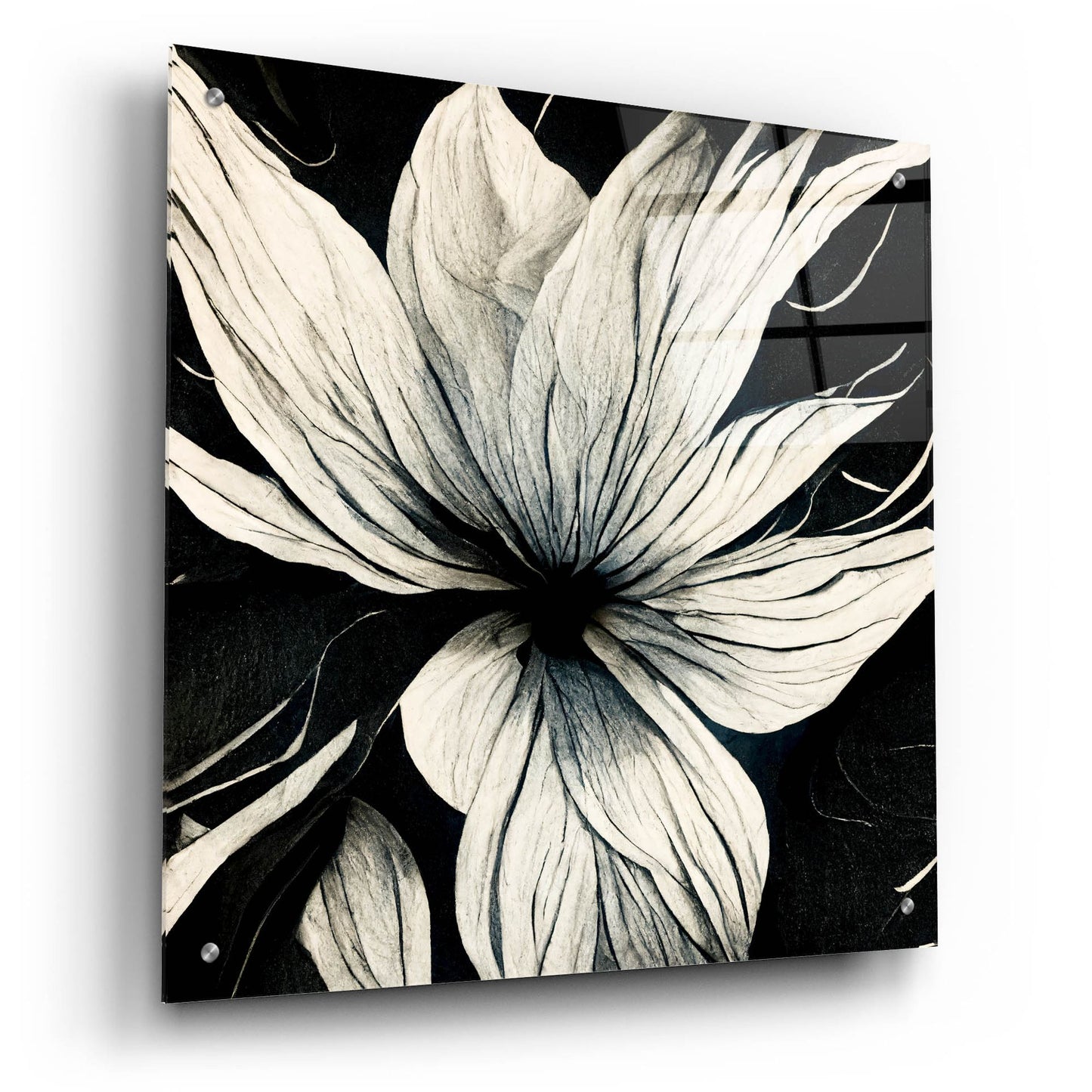 Epic Art 'Flowers Black White 32' by Ray Heere, Acrylic Glass Wall Art,24x24