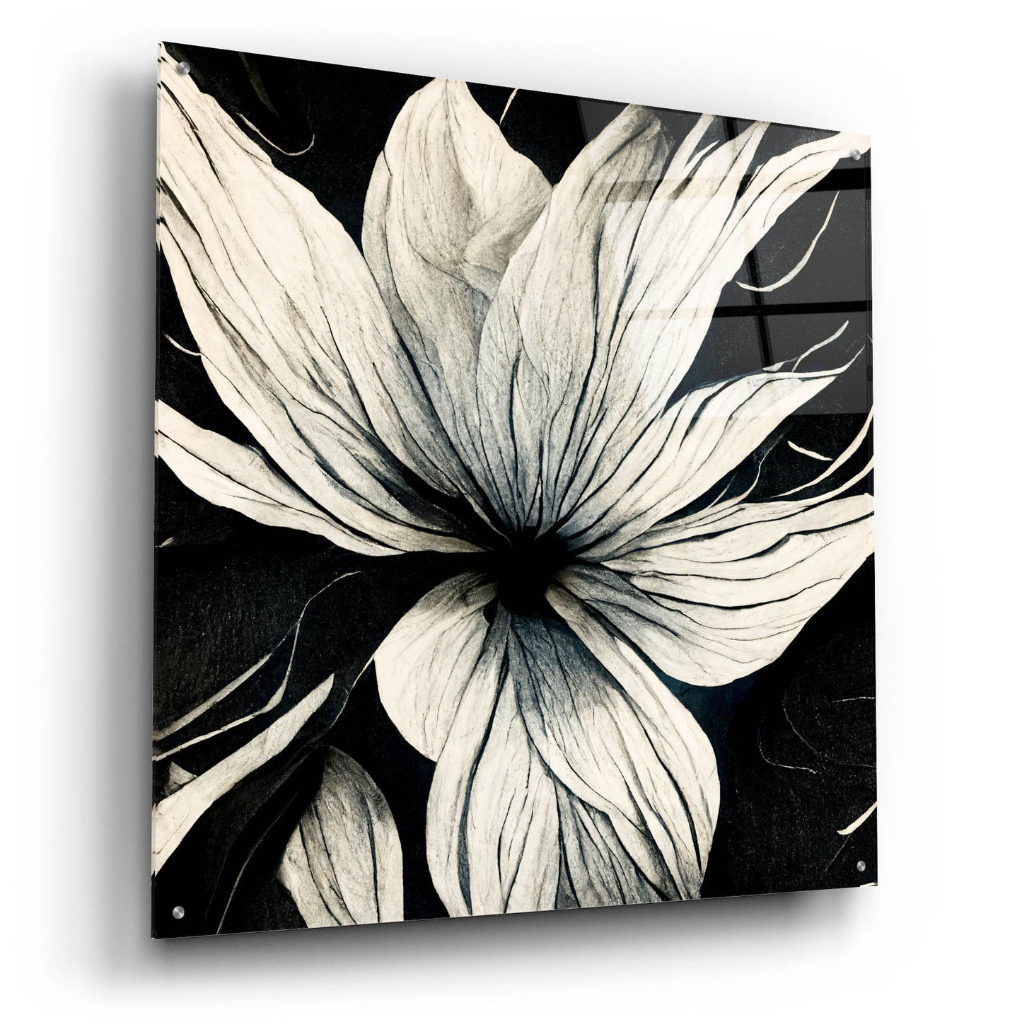 Epic Art 'Flowers Black White 32' by Ray Heere, Acrylic Glass Wall Art,36x36