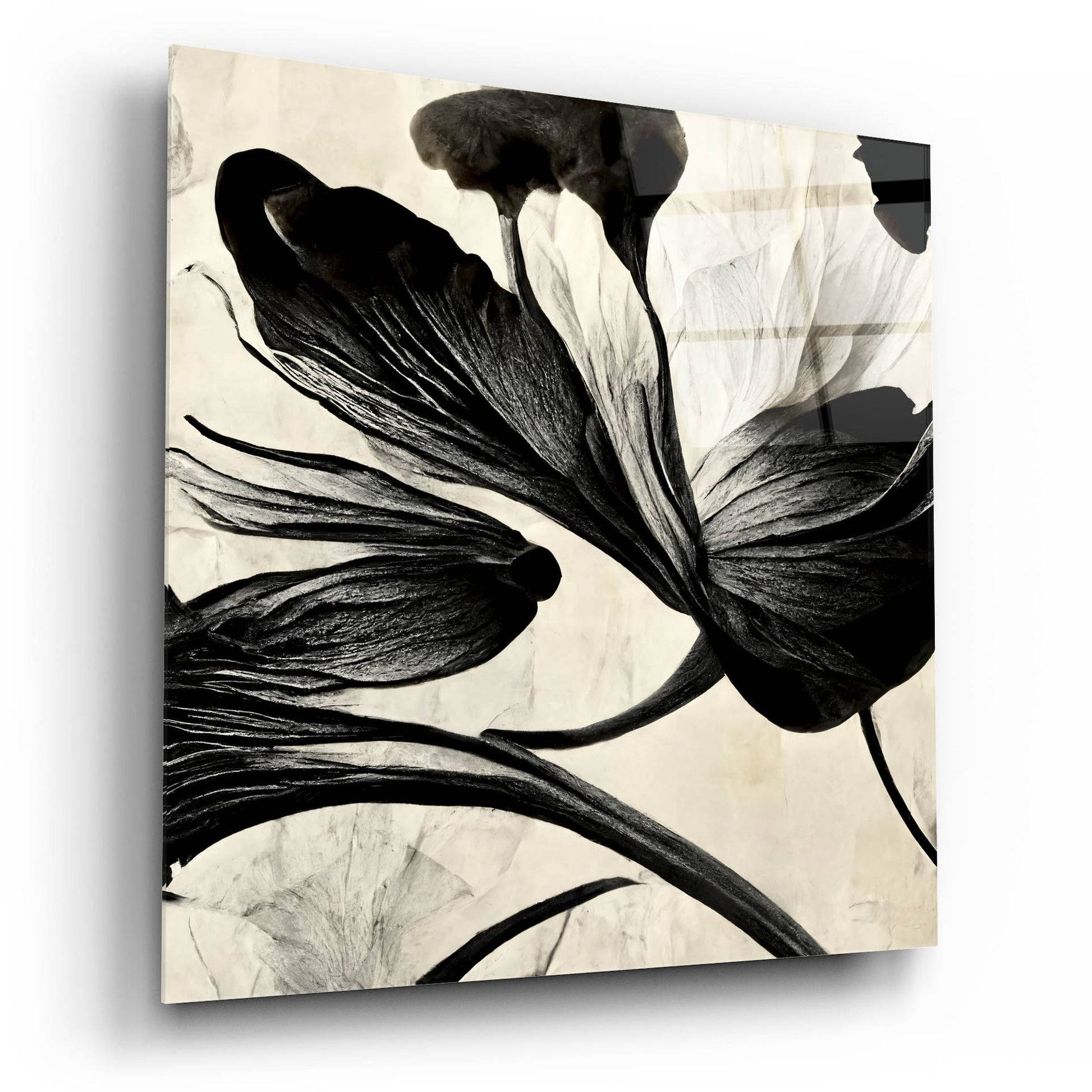 Epic Art 'Flowers Black White 33' by Ray Heere, Acrylic Glass Wall Art,12x12