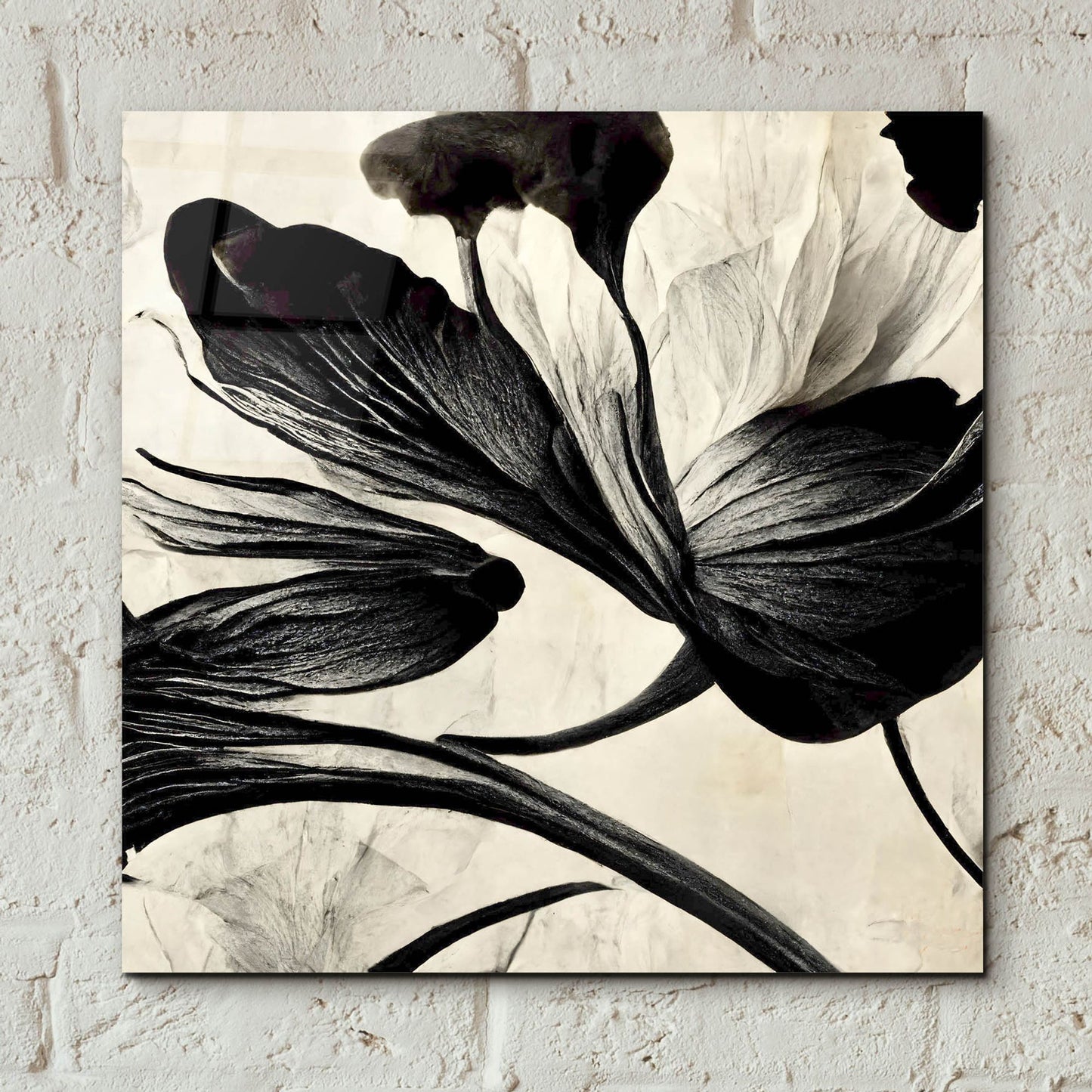 Epic Art 'Flowers Black White 33' by Ray Heere, Acrylic Glass Wall Art,12x12