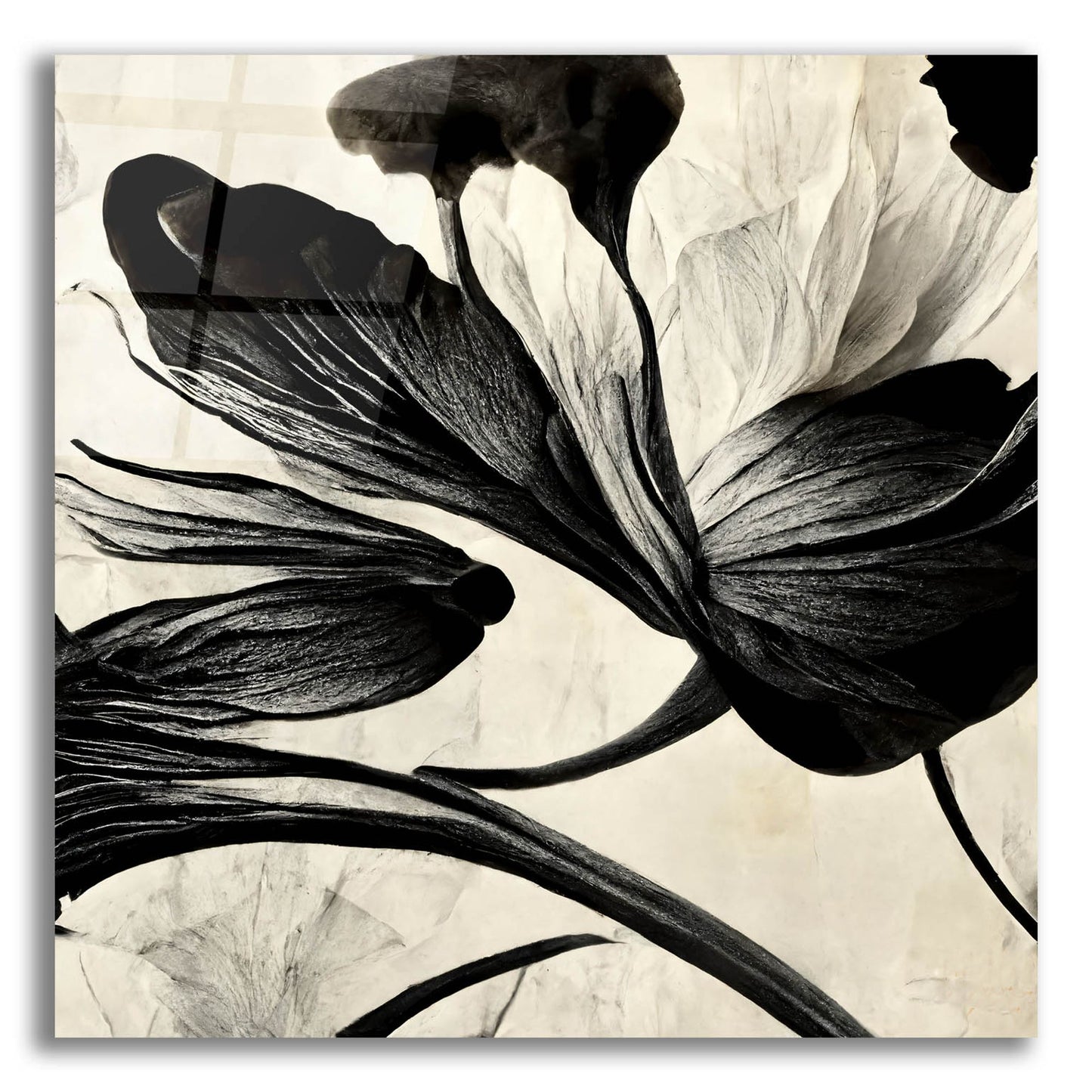 Epic Art 'Flowers Black White 33' by Ray Heere, Acrylic Glass Wall Art,12x12