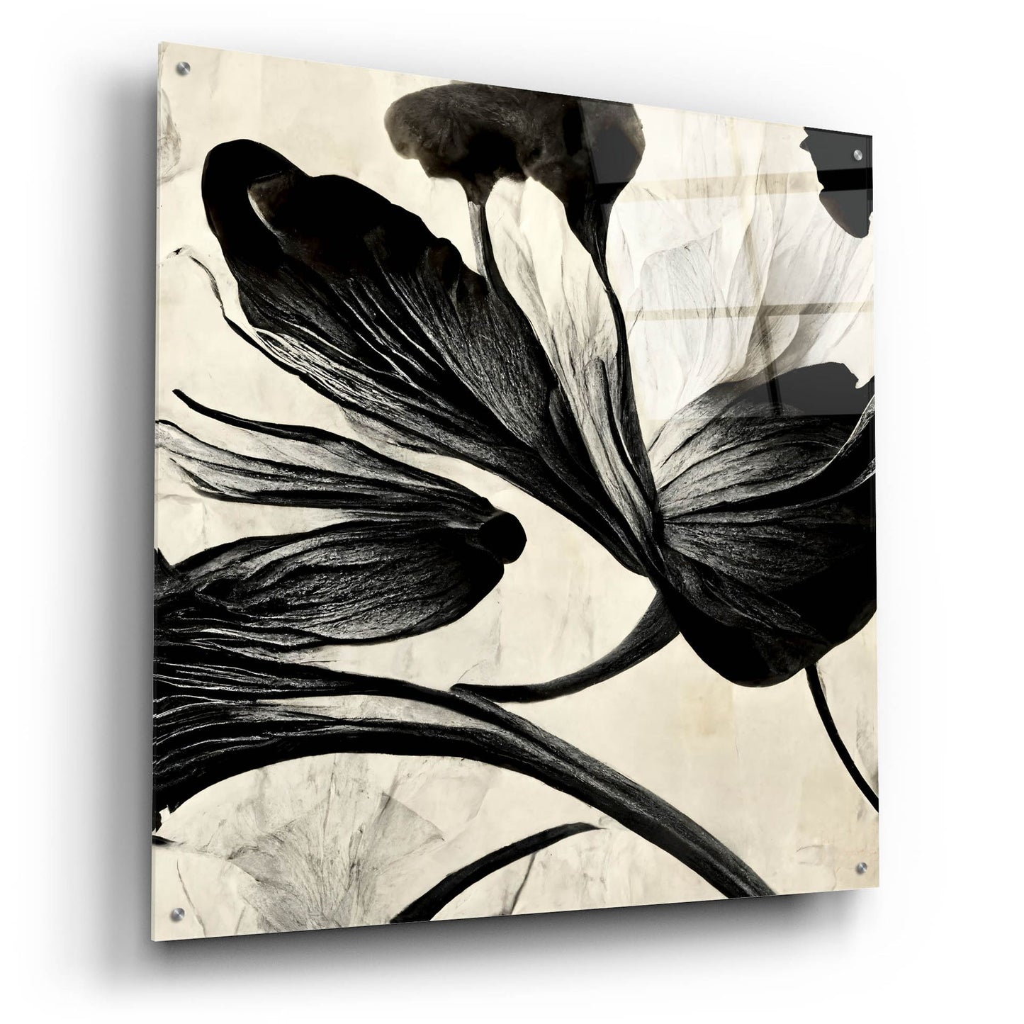 Epic Art 'Flowers Black White 33' by Ray Heere, Acrylic Glass Wall Art,36x36