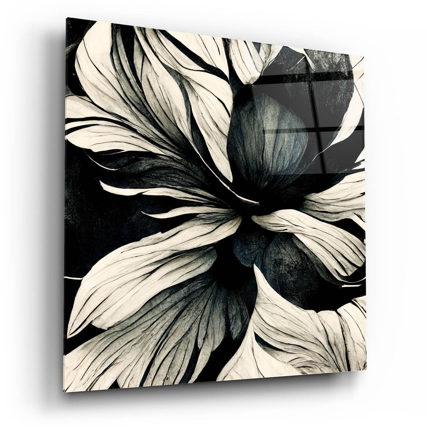 Epic Art 'Flowers Black White 34' by Ray Heere, Acrylic Glass Wall Art,12x12