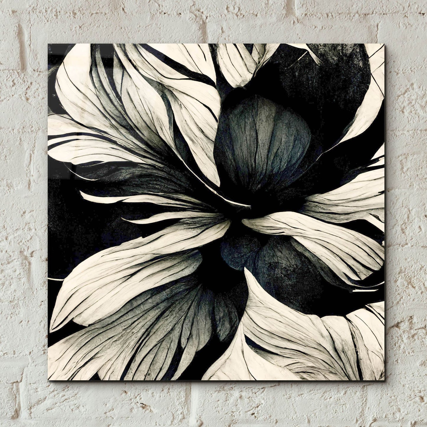 Epic Art 'Flowers Black White 34' by Ray Heere, Acrylic Glass Wall Art,12x12