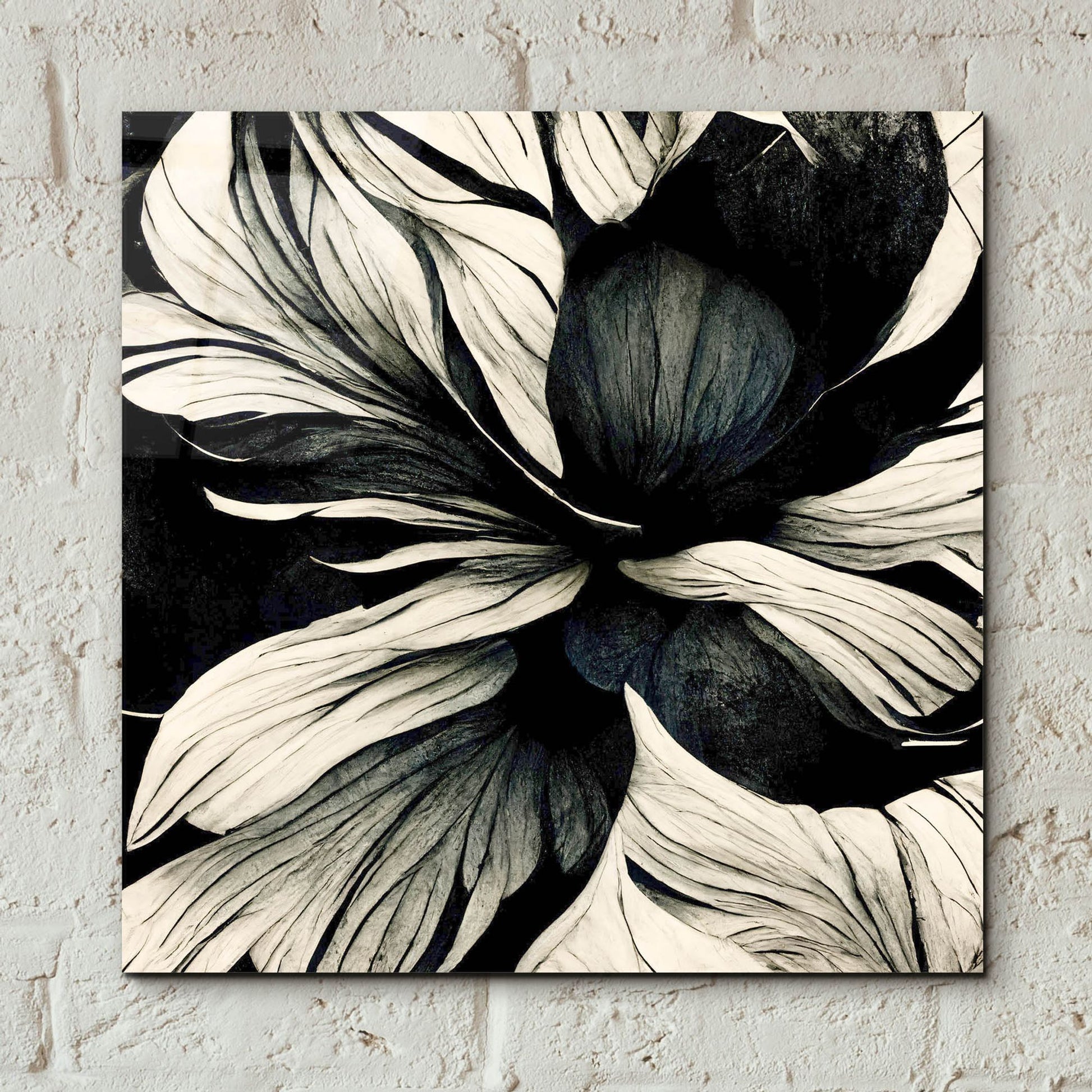 Epic Art 'Flowers Black White 34' by Ray Heere, Acrylic Glass Wall Art,12x12