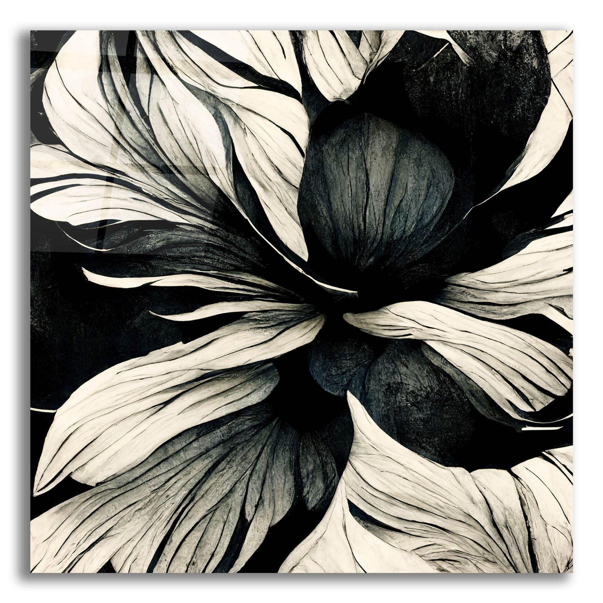 Epic Art 'Flowers Black White 34' by Ray Heere, Acrylic Glass Wall Art,12x12