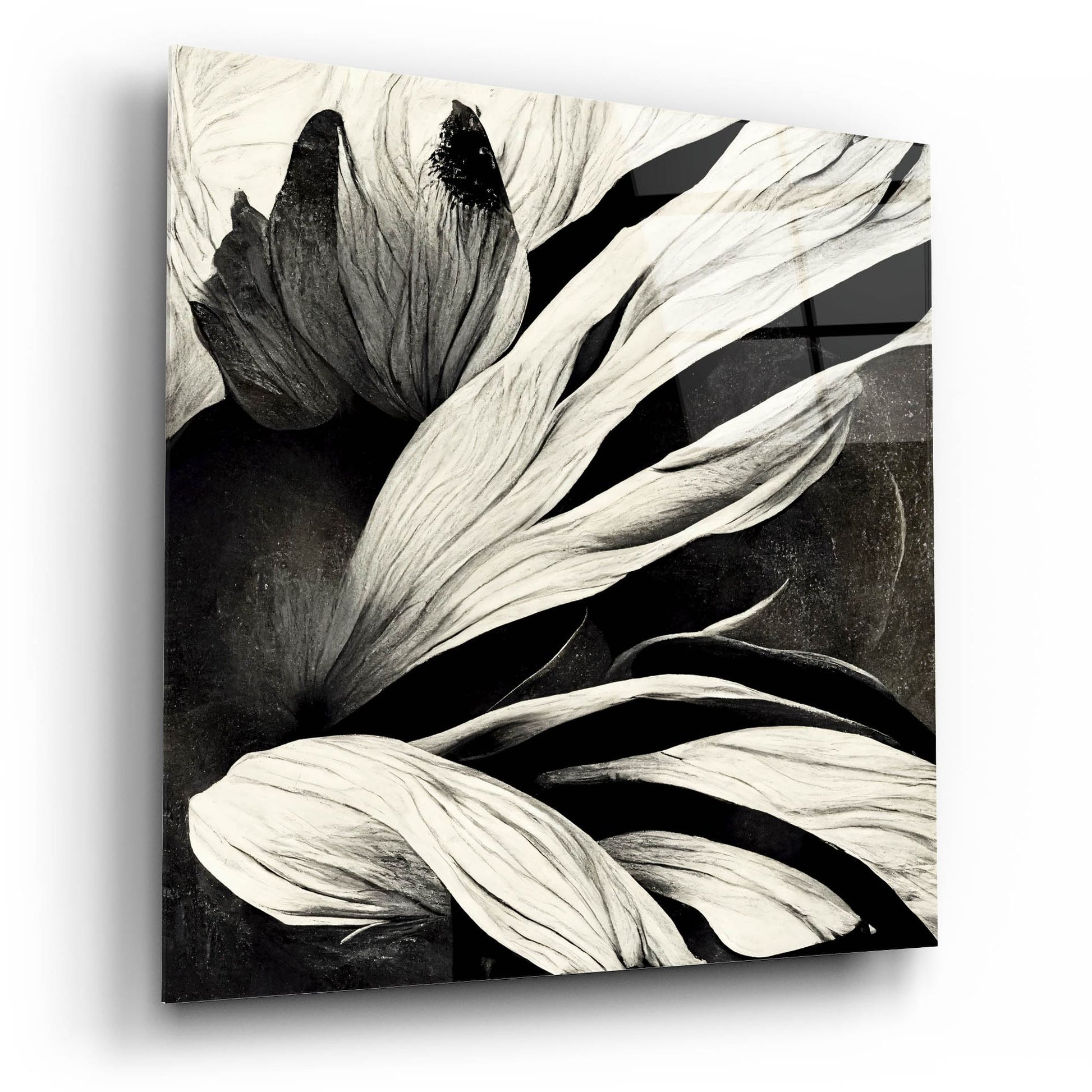 Epic Art 'Flowers Black White 35' by Ray Heere, Acrylic Glass Wall Art,12x12