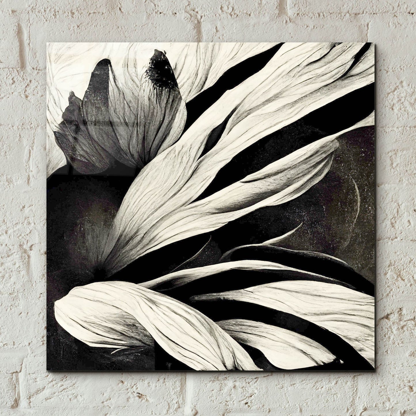 Epic Art 'Flowers Black White 35' by Ray Heere, Acrylic Glass Wall Art,12x12