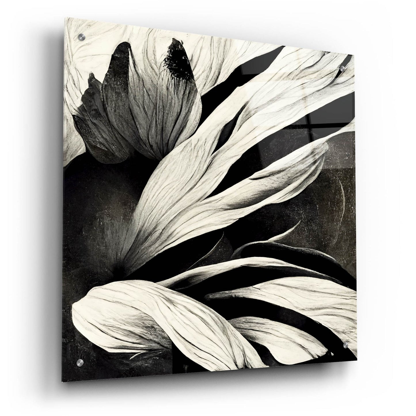 Epic Art 'Flowers Black White 35' by Ray Heere, Acrylic Glass Wall Art,24x24