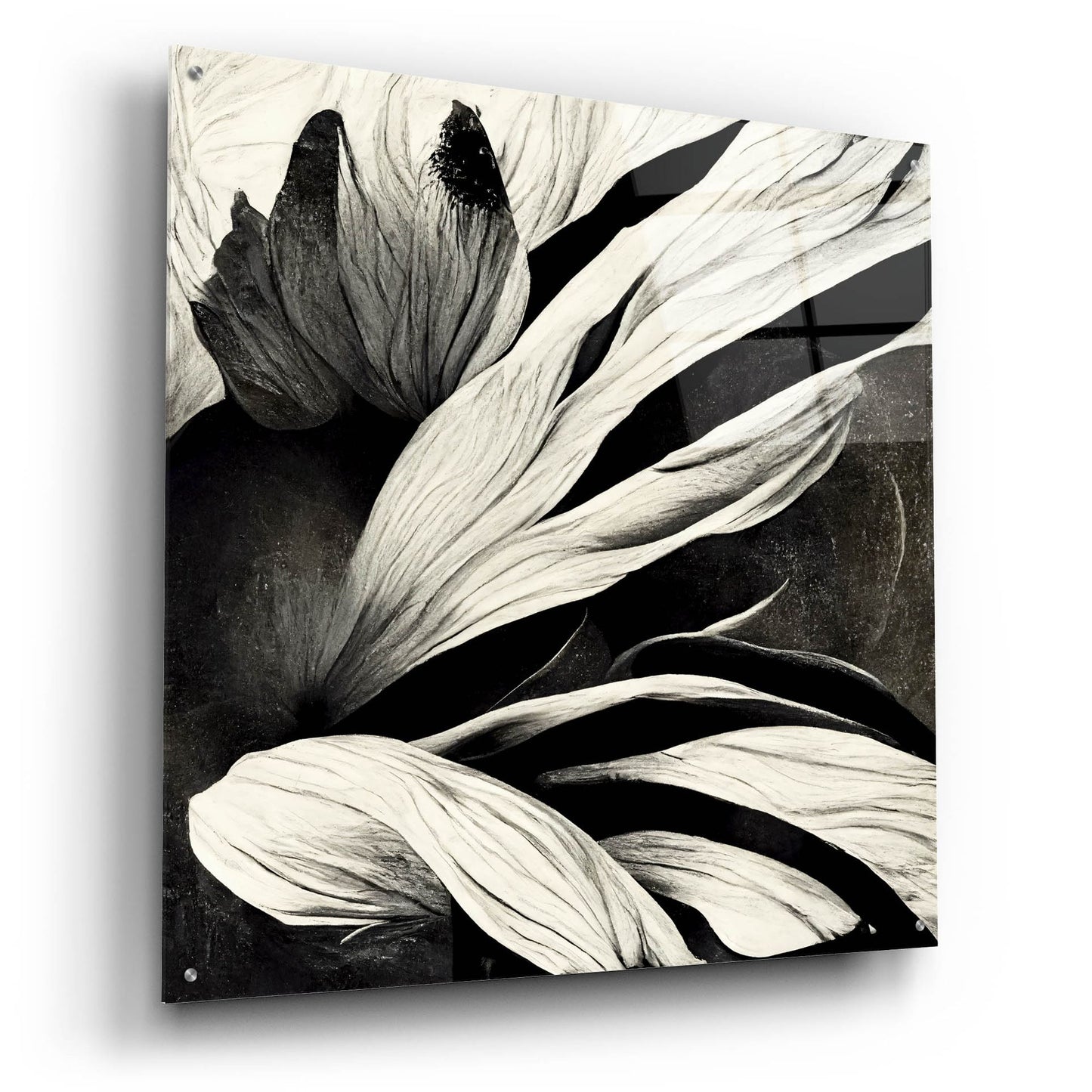 Epic Art 'Flowers Black White 35' by Ray Heere, Acrylic Glass Wall Art,36x36