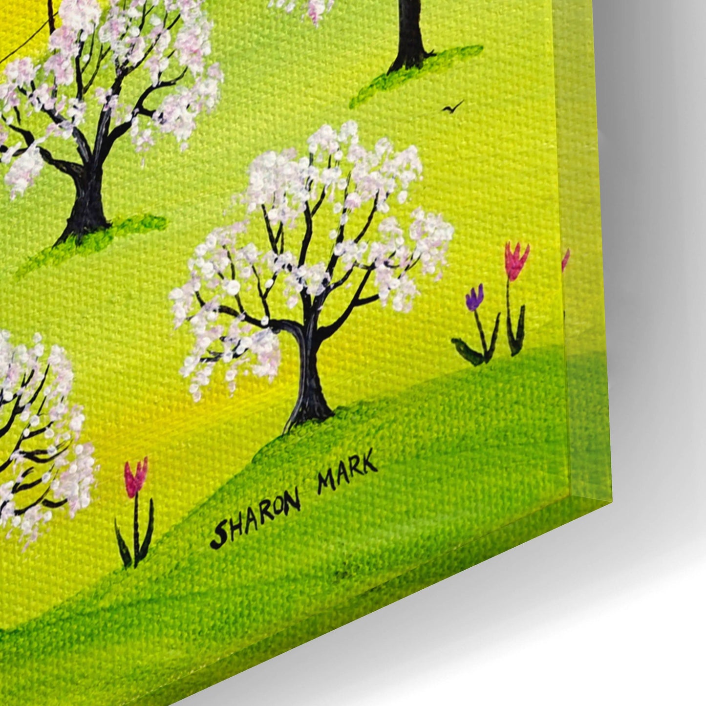 Epic Art 'Apple Blossom Time' by Sharon Mark, Acrylic Glass Wall Art,16x12