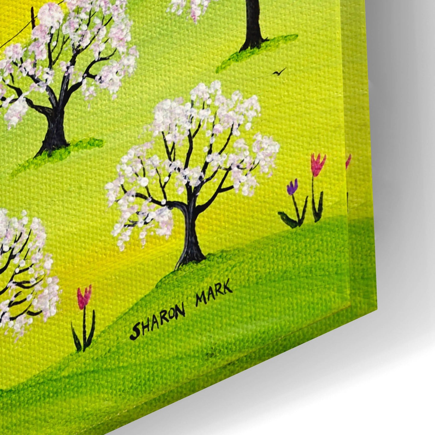 Epic Art 'Apple Blossom Time' by Sharon Mark, Acrylic Glass Wall Art,24x16