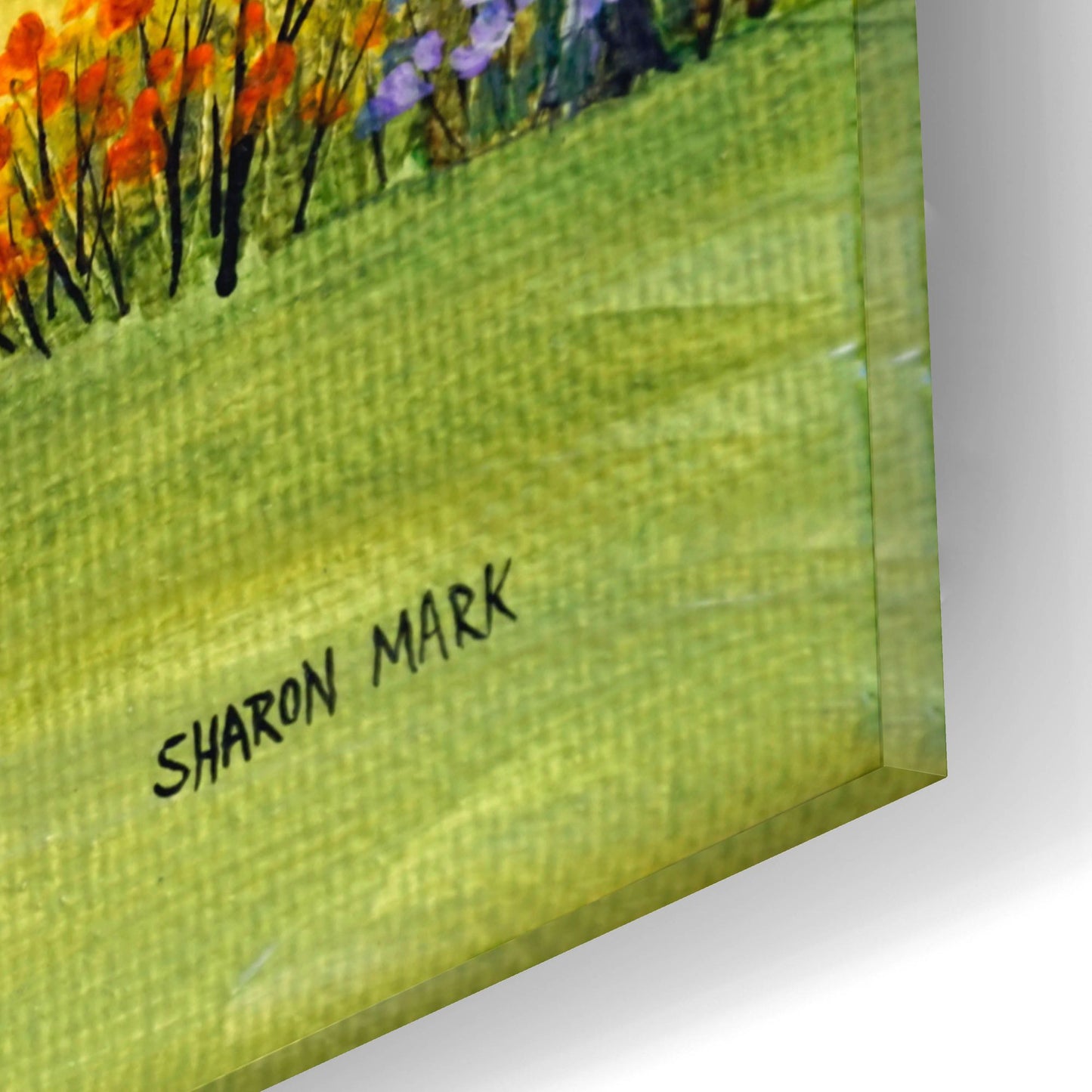 Epic Art 'Sheep and Ducks' by Sharon Mark, Acrylic Glass Wall Art,16x12