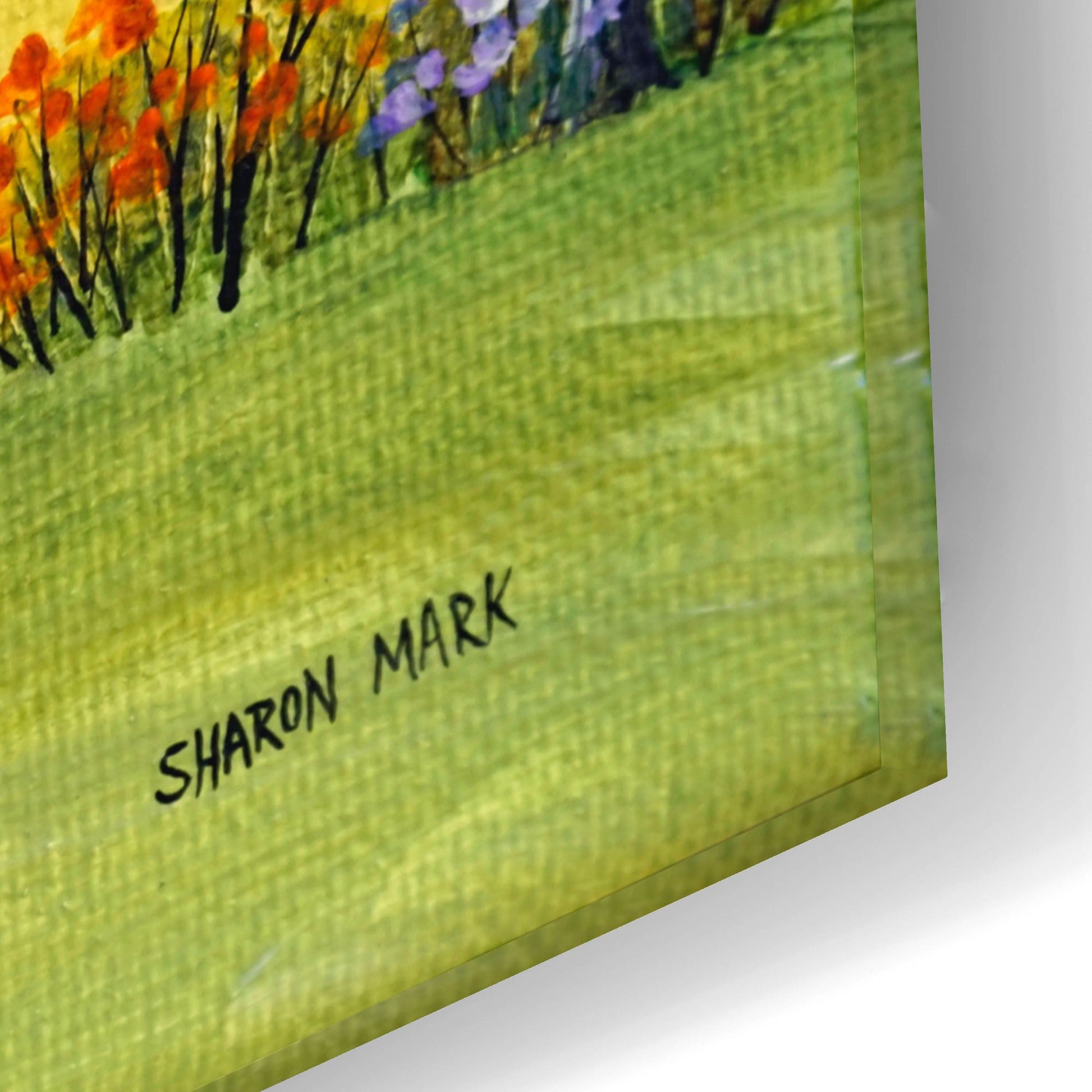 Epic Art 'Sheep and Ducks' by Sharon Mark, Acrylic Glass Wall Art,24x16